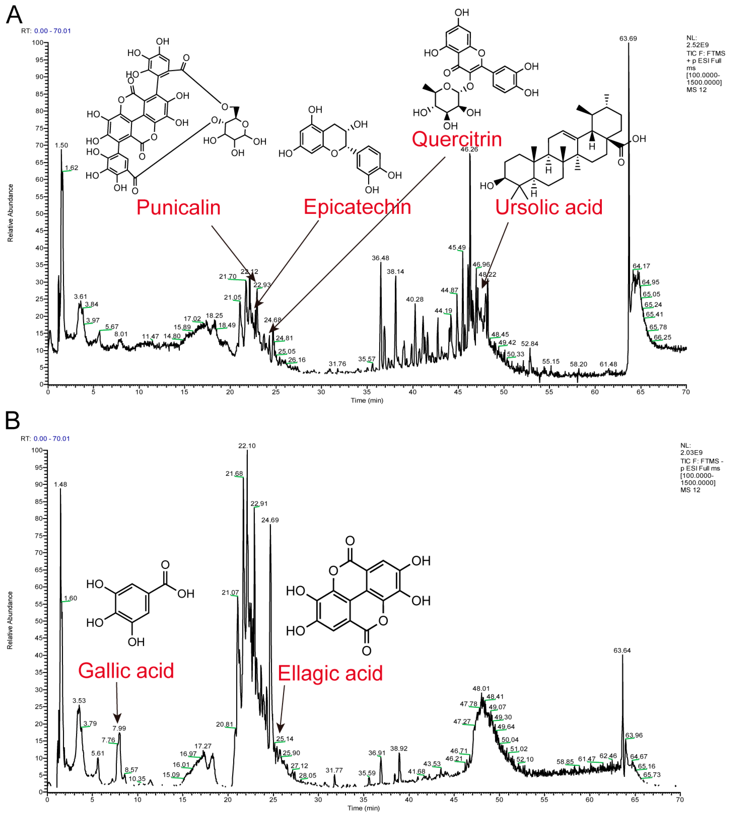 Nutrients 16 03854 g001