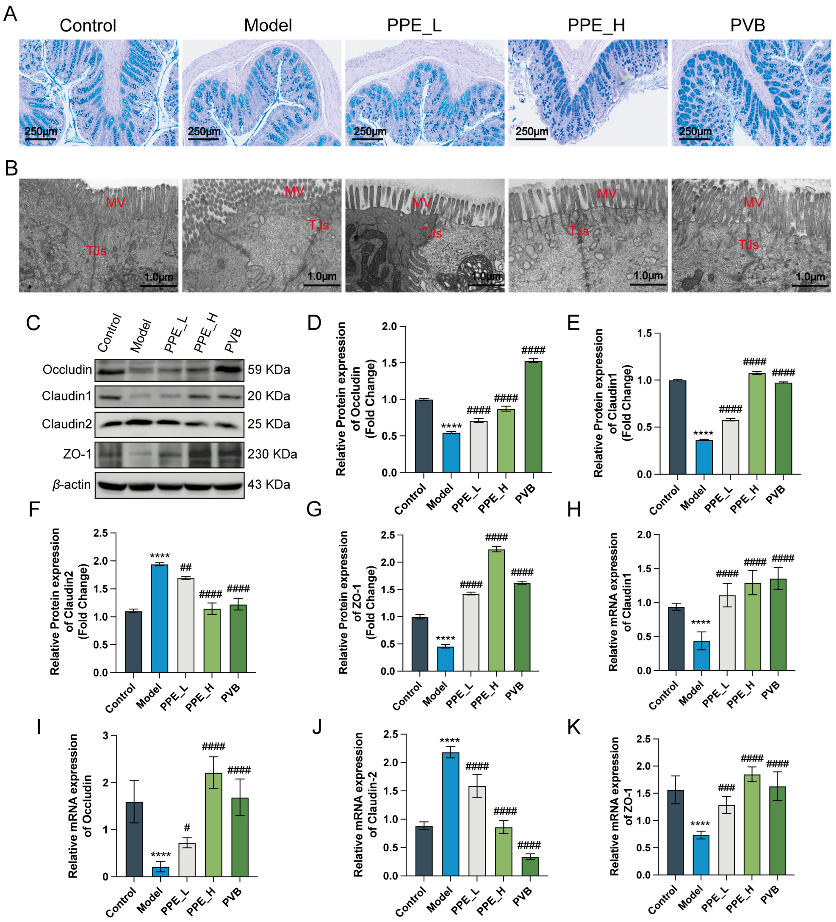 Nutrients 16 03854 g003