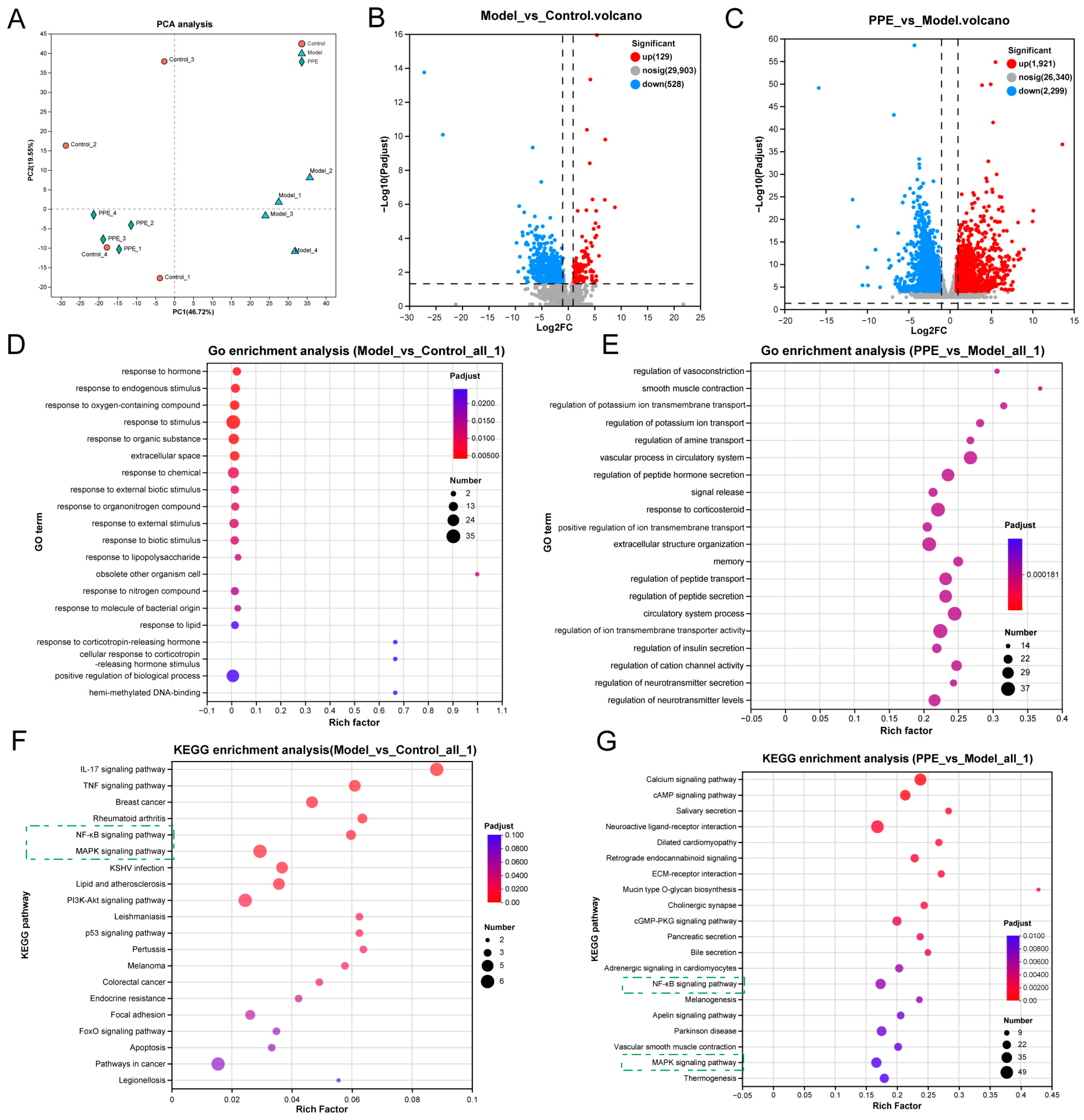 Nutrients 16 03854 g005