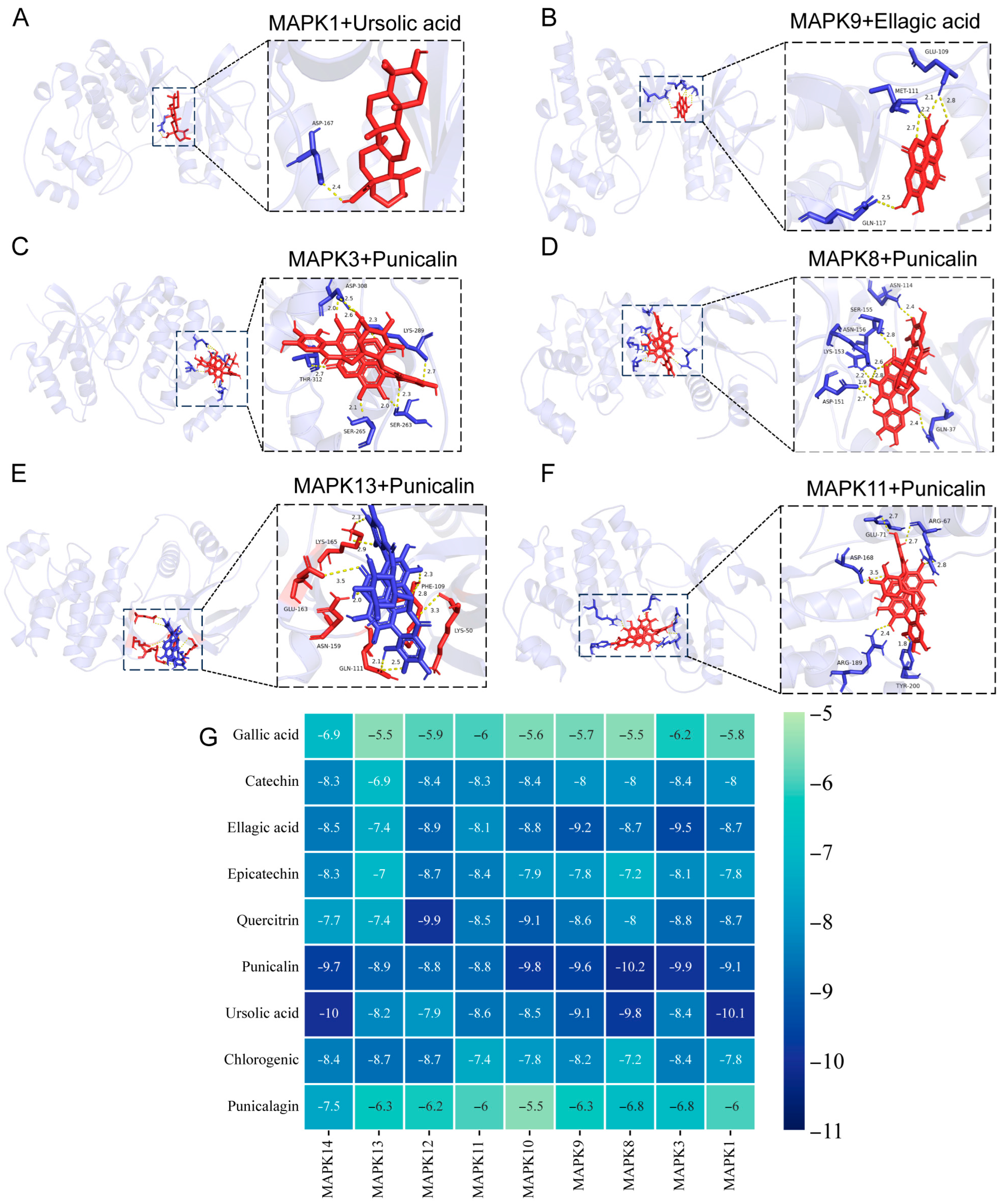 Nutrients 16 03854 g006