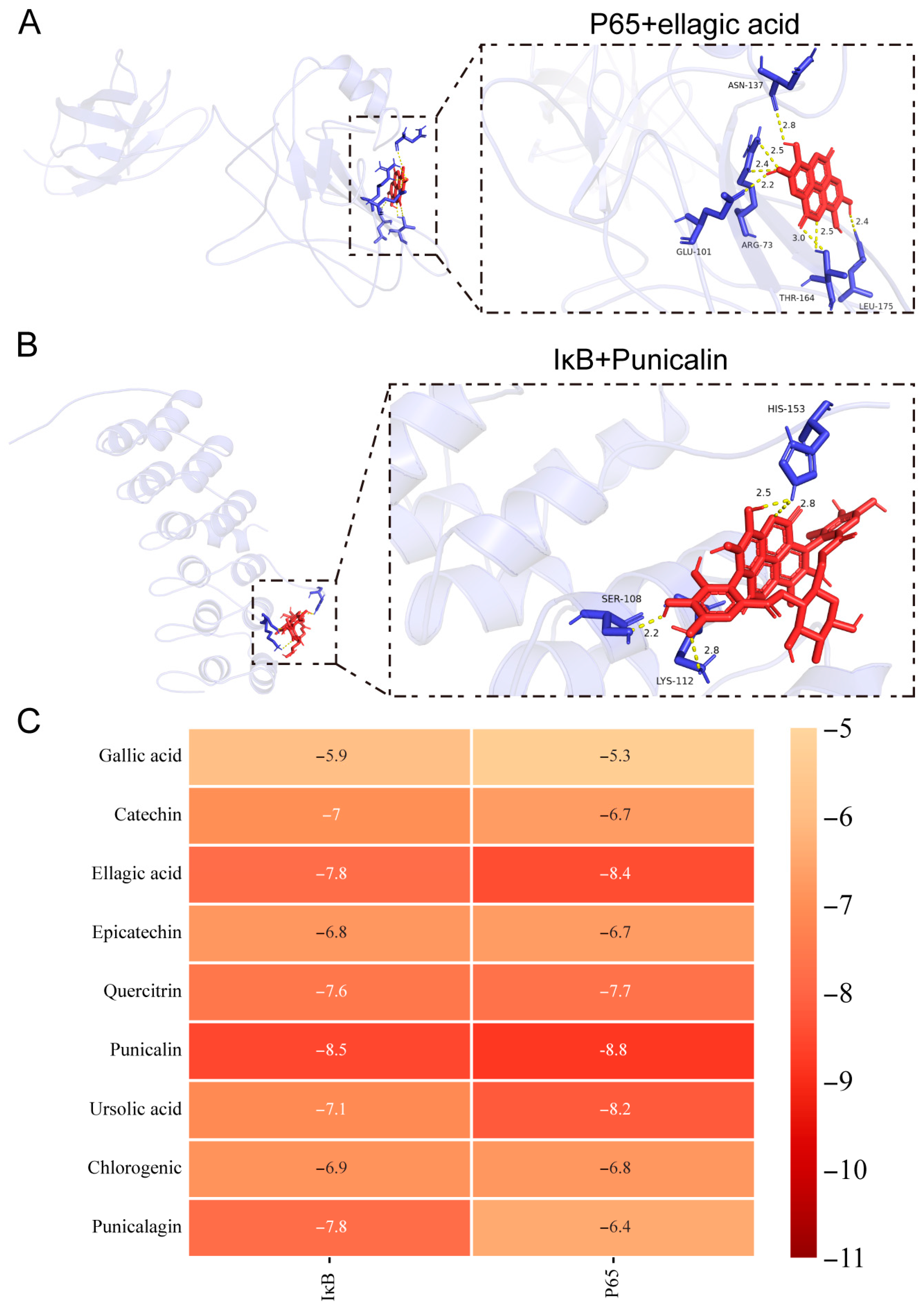 Nutrients 16 03854 g007