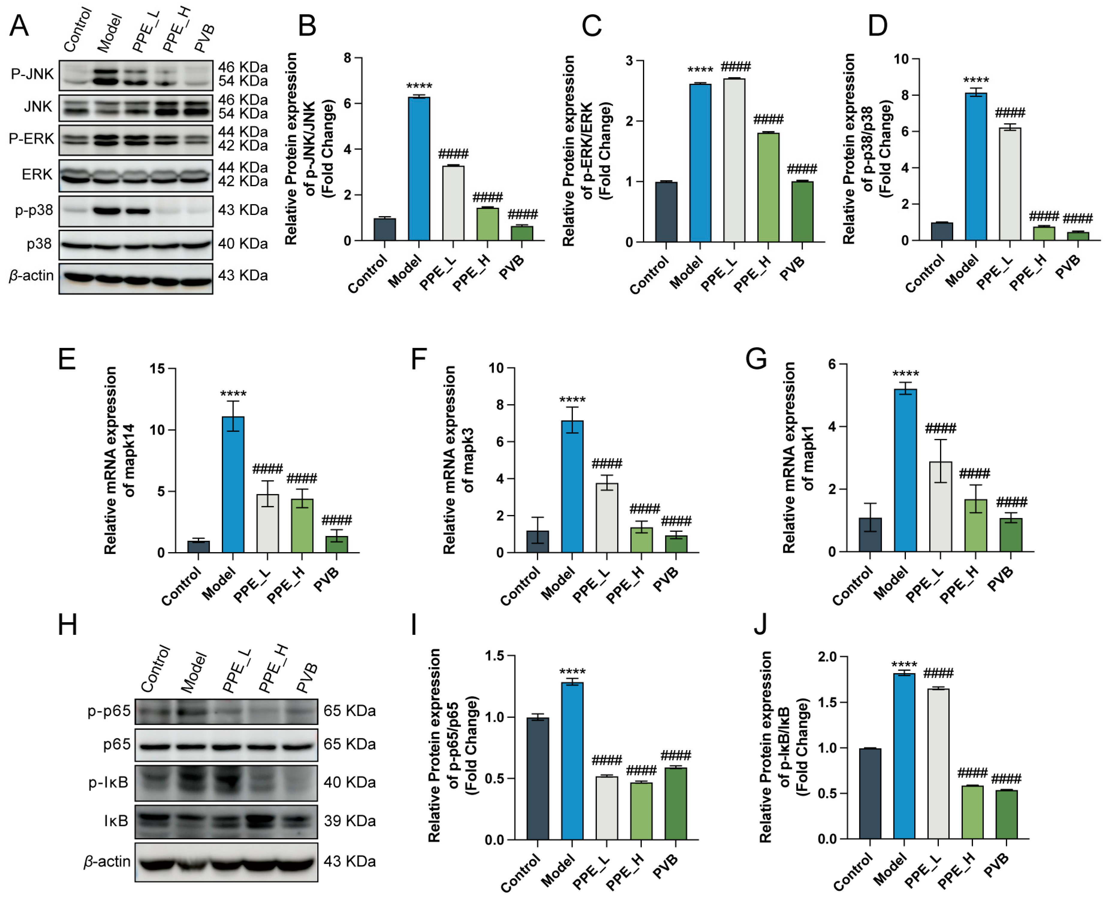 Nutrients 16 03854 g008
