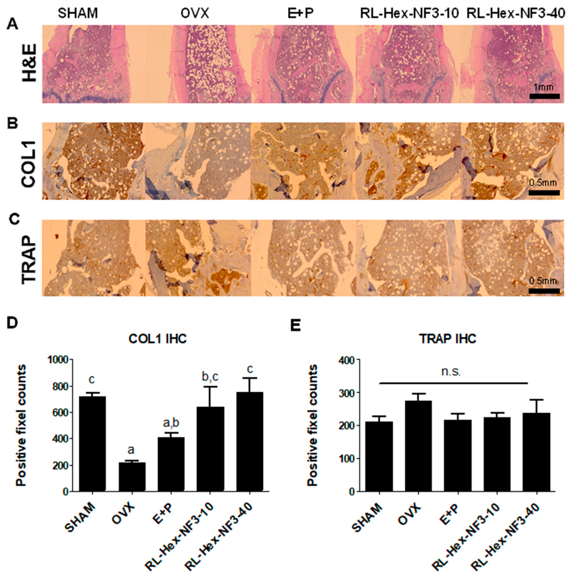 Nutrients 16 03856 g003
