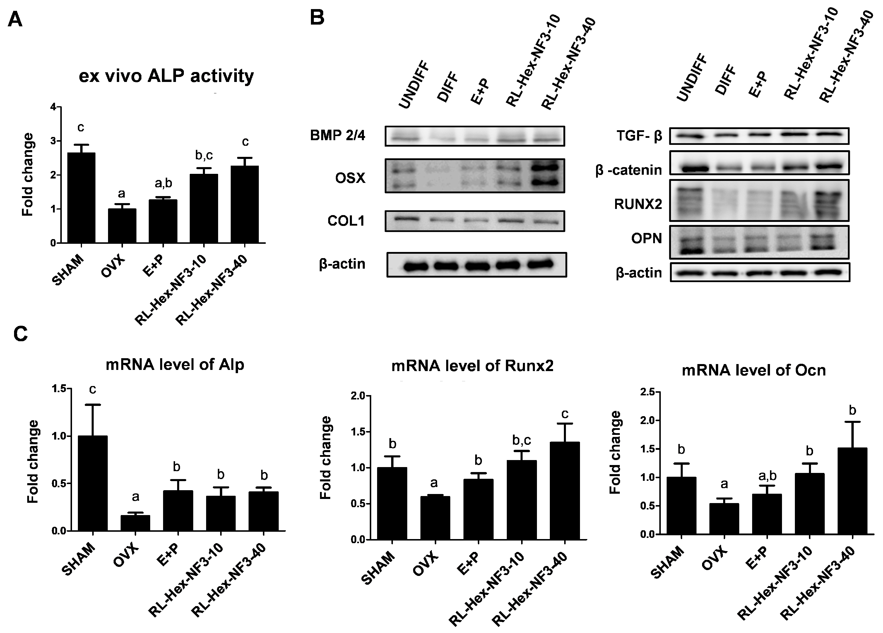 Nutrients 16 03856 g004