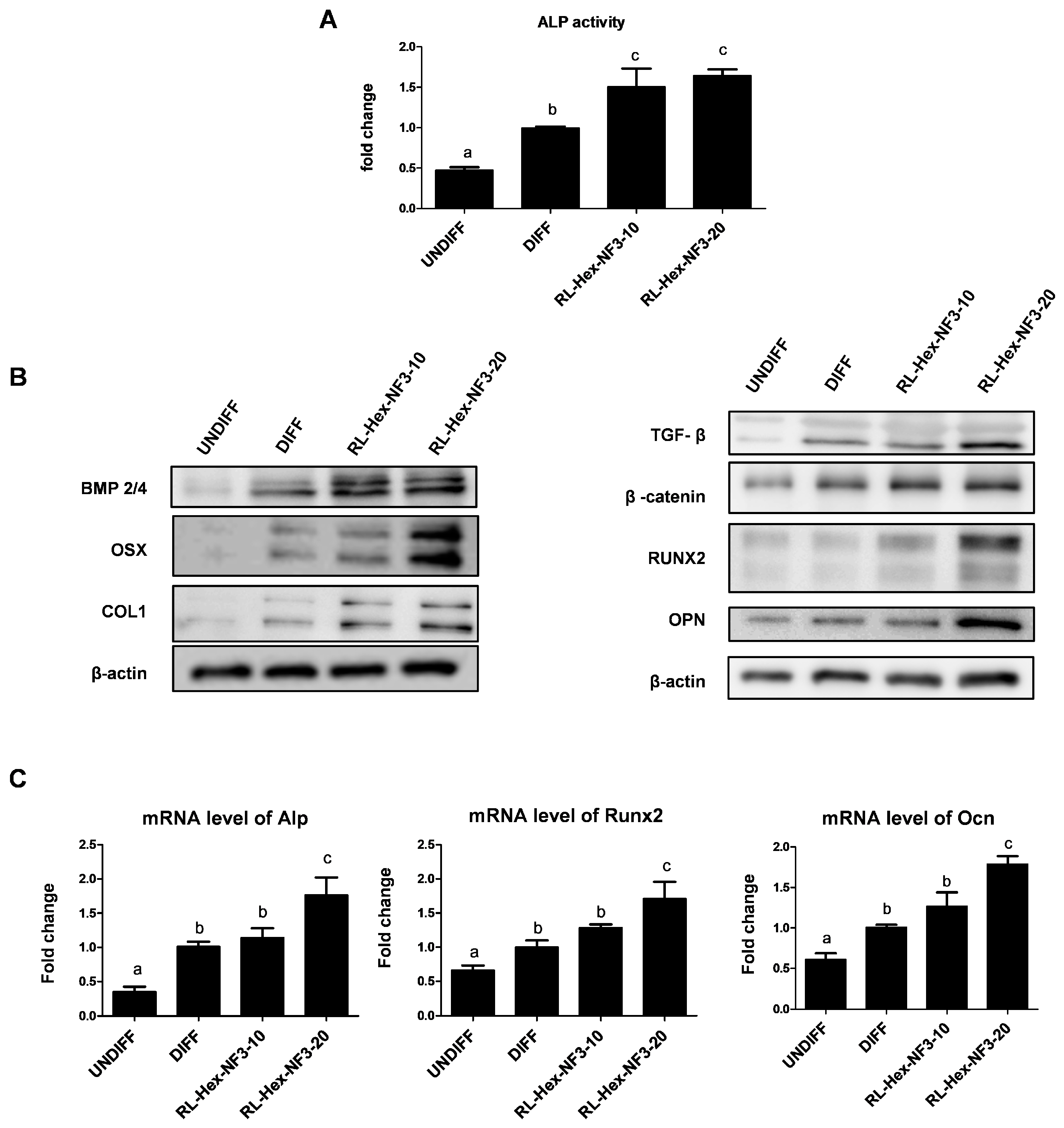 Nutrients 16 03856 g005