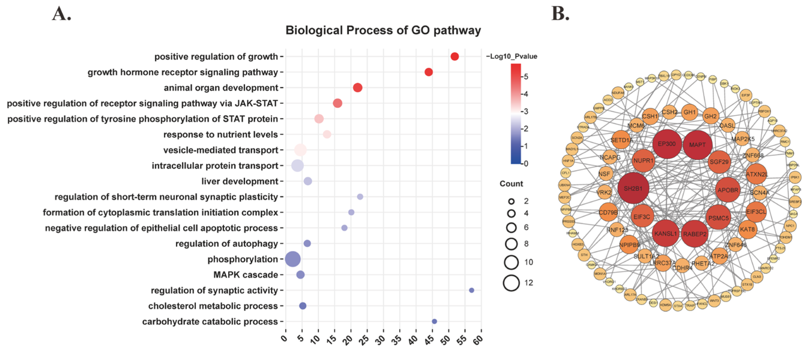 Nutrients 16 03864 g003