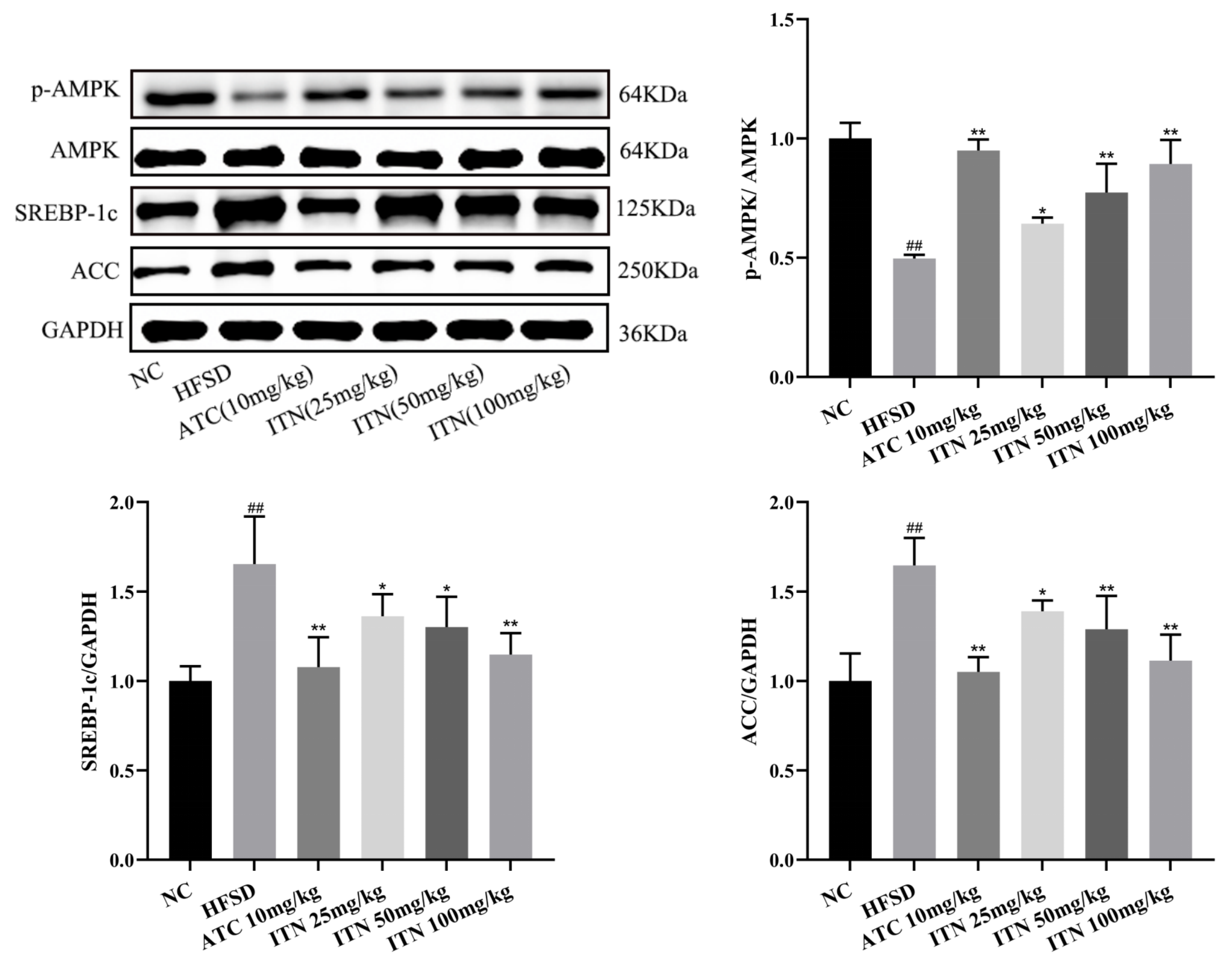 Nutrients 16 03876 g006