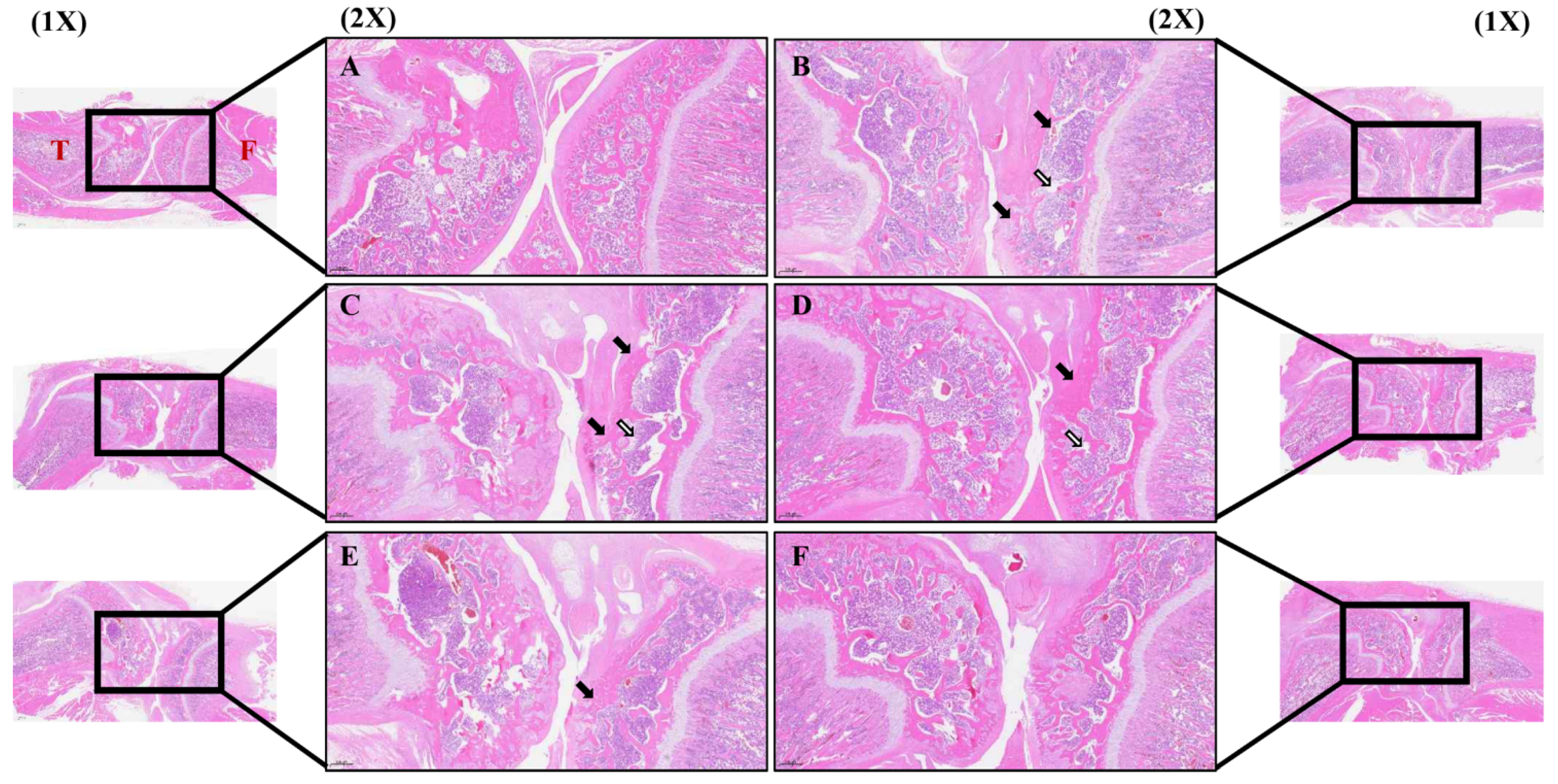 Nutrients 16 03882 g008