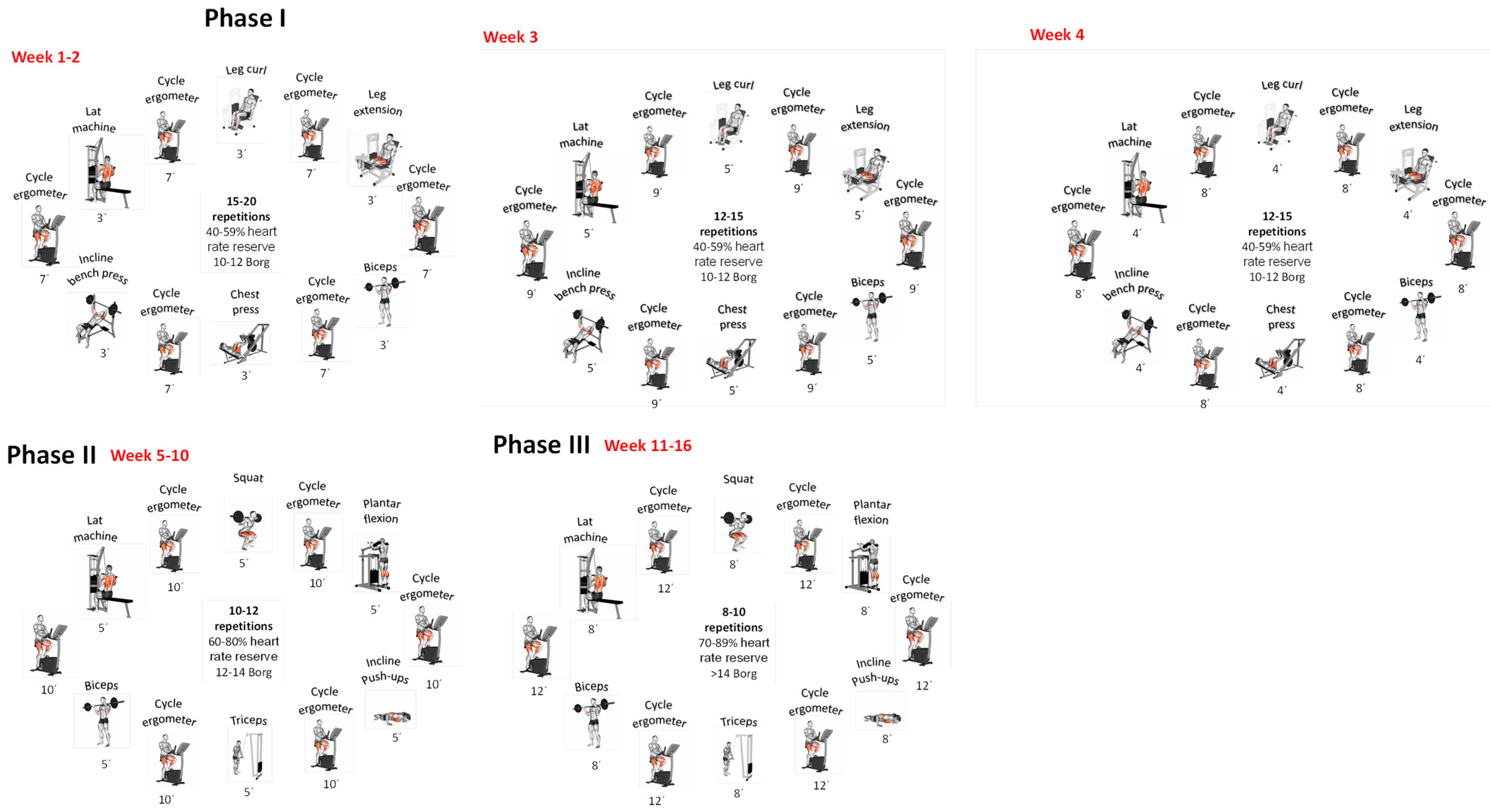 Nutrients 16 03913 g002