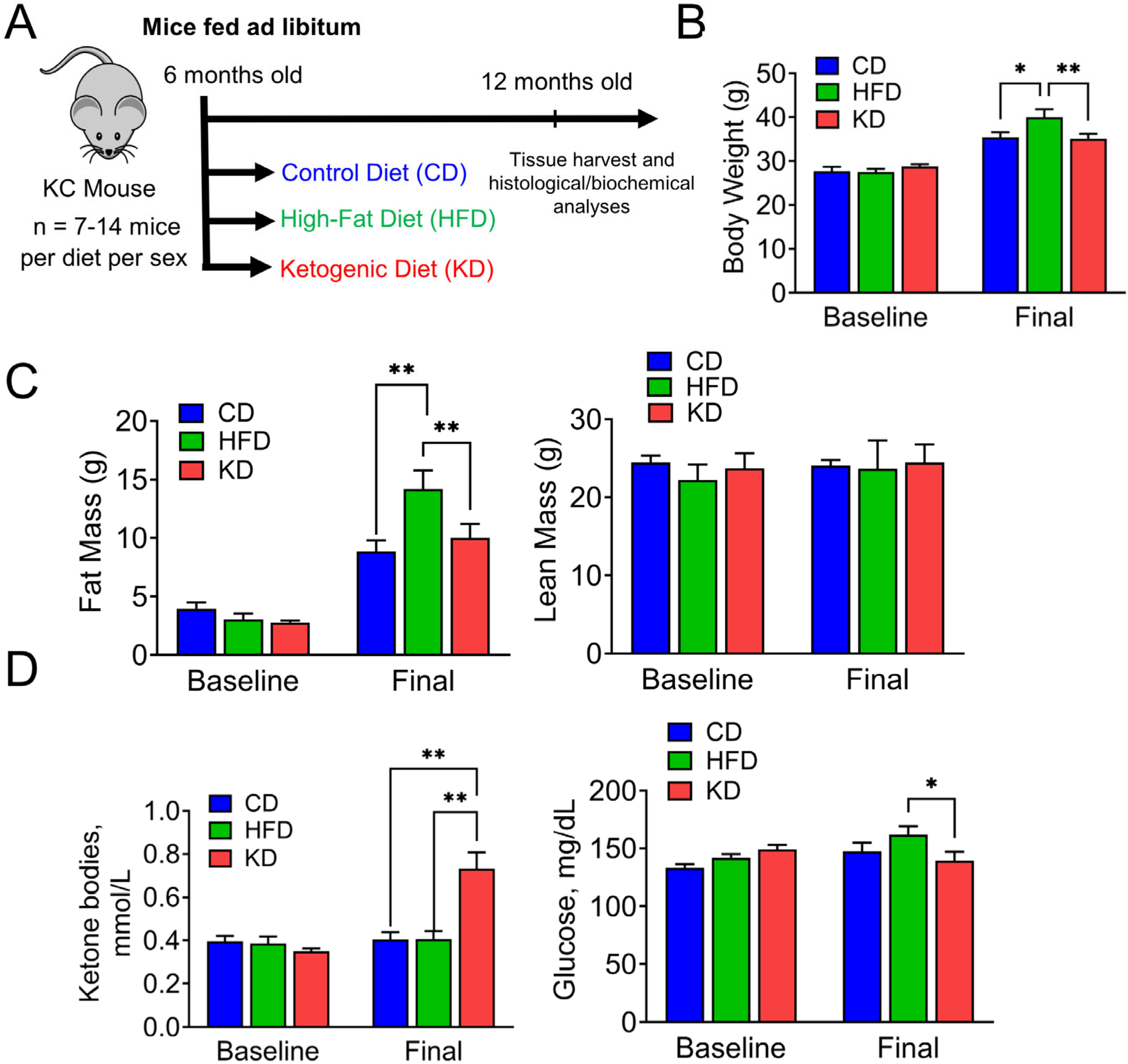 Nutrients 16 03919 g001