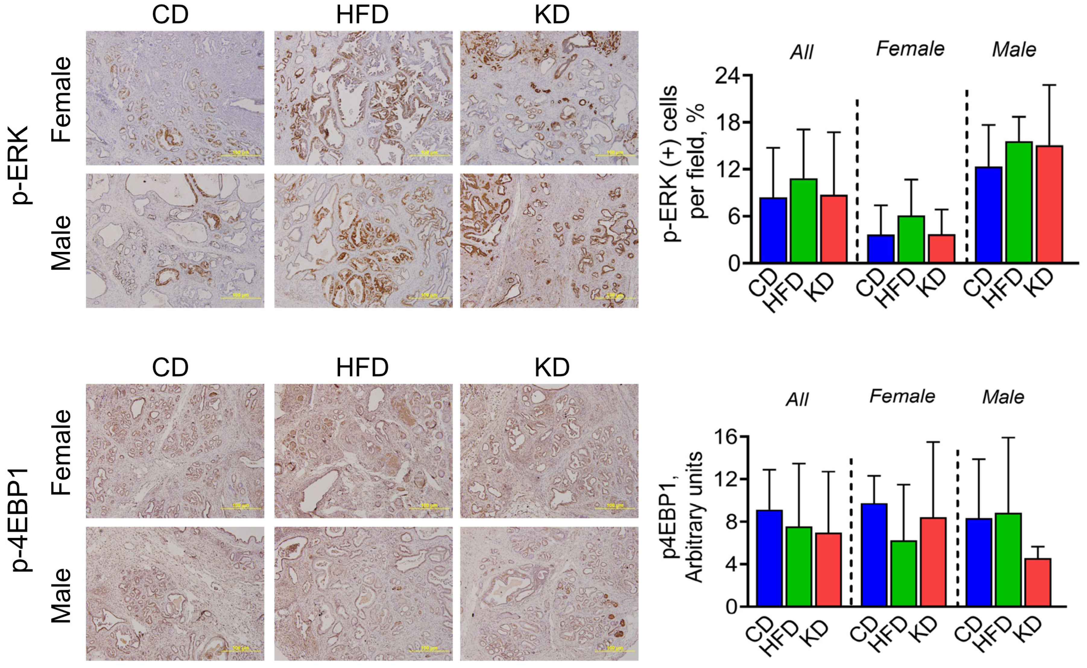 Nutrients 16 03919 g004