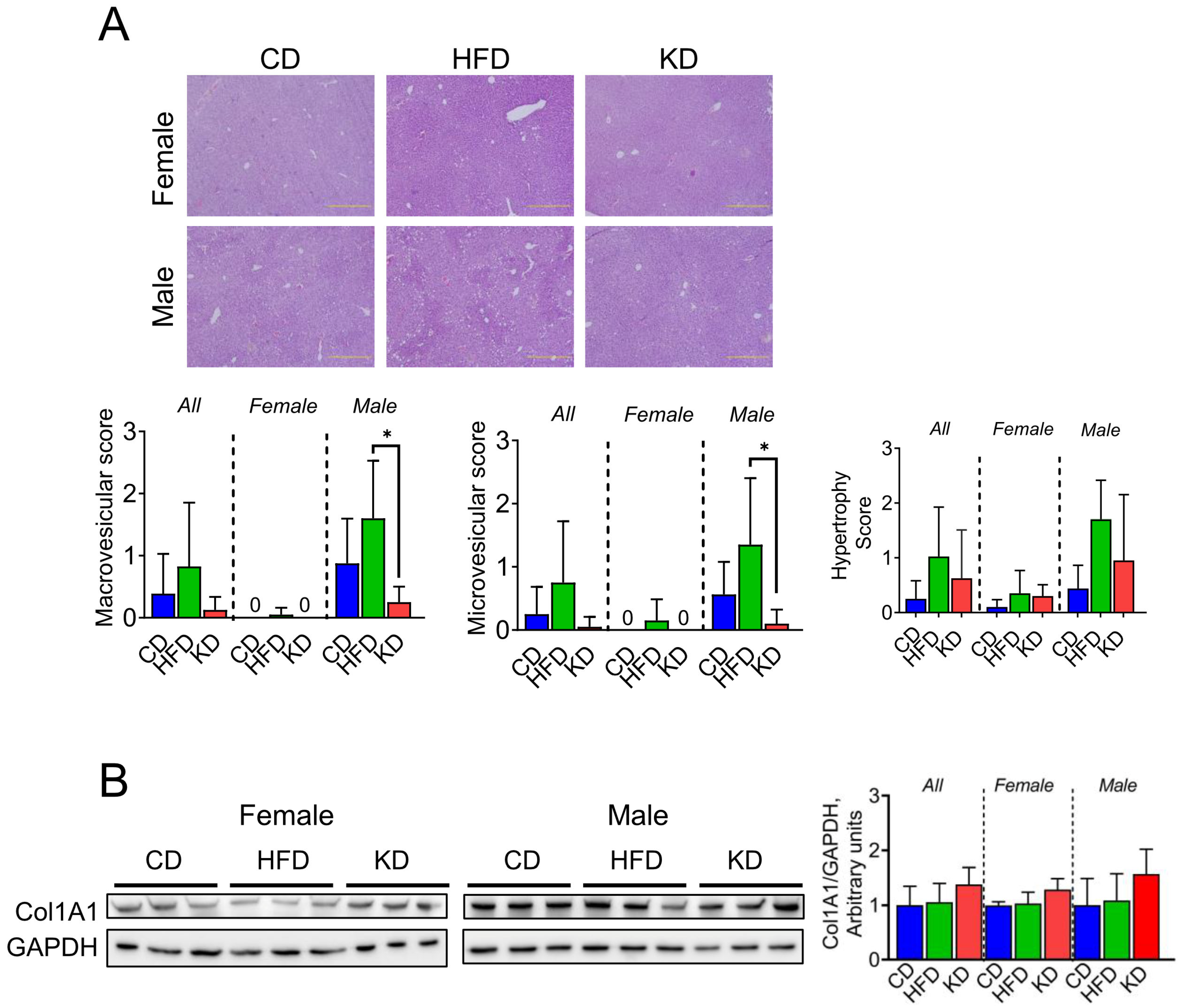 Nutrients 16 03919 g006