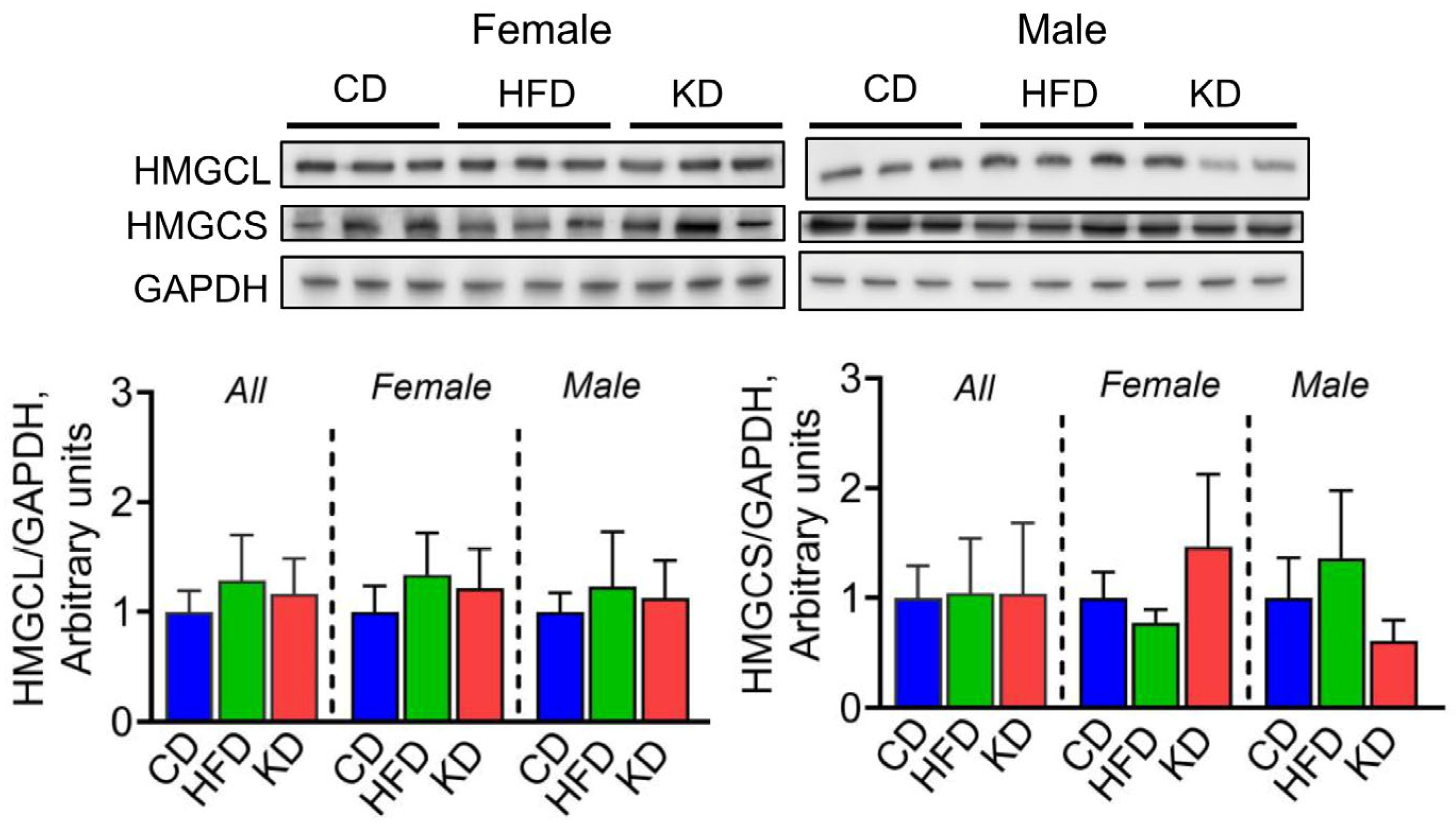 Nutrients 16 03919 g007