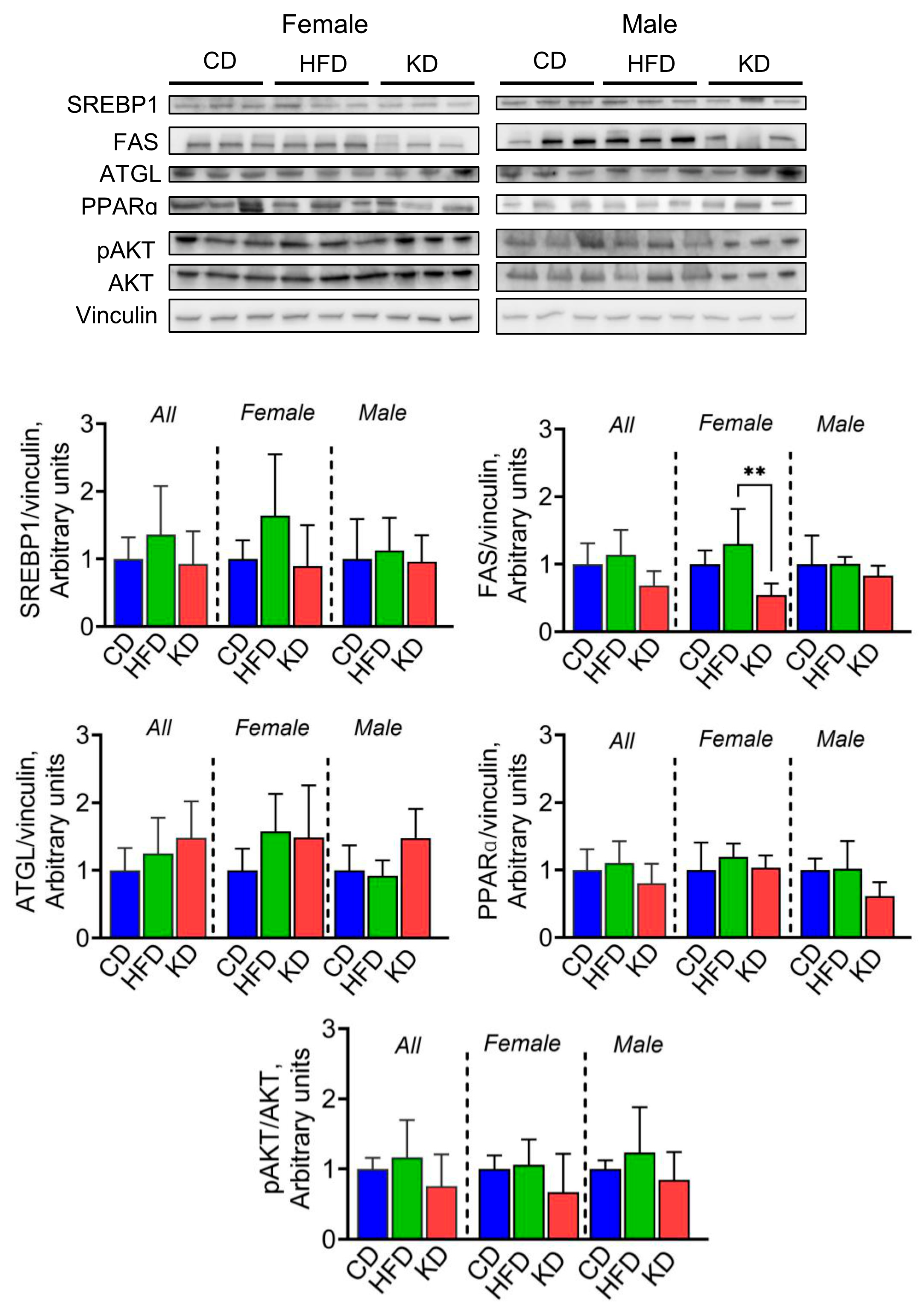 Nutrients 16 03919 g008