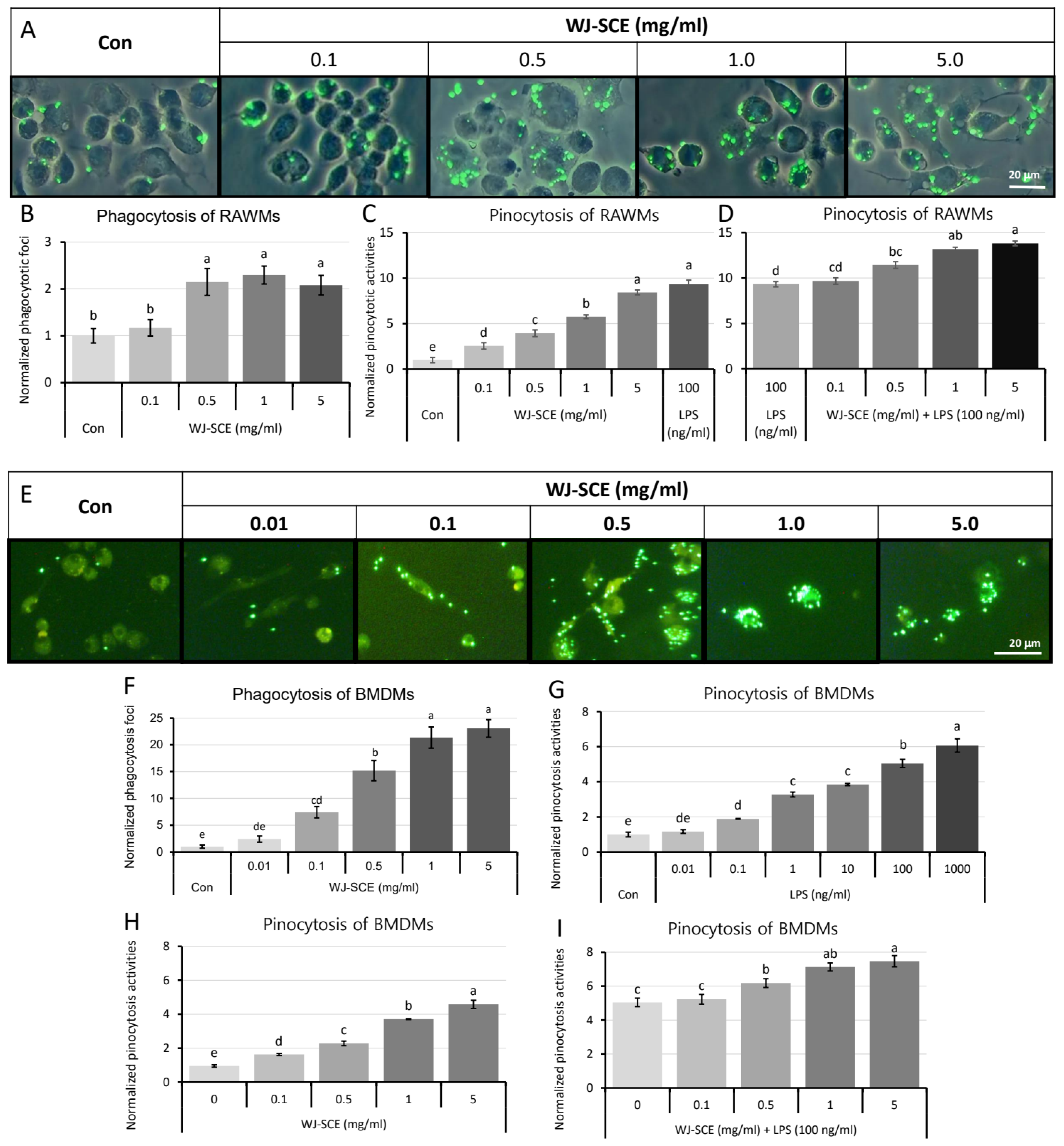 Nutrients 16 03932 g002 Nutrients 16 03932 g002