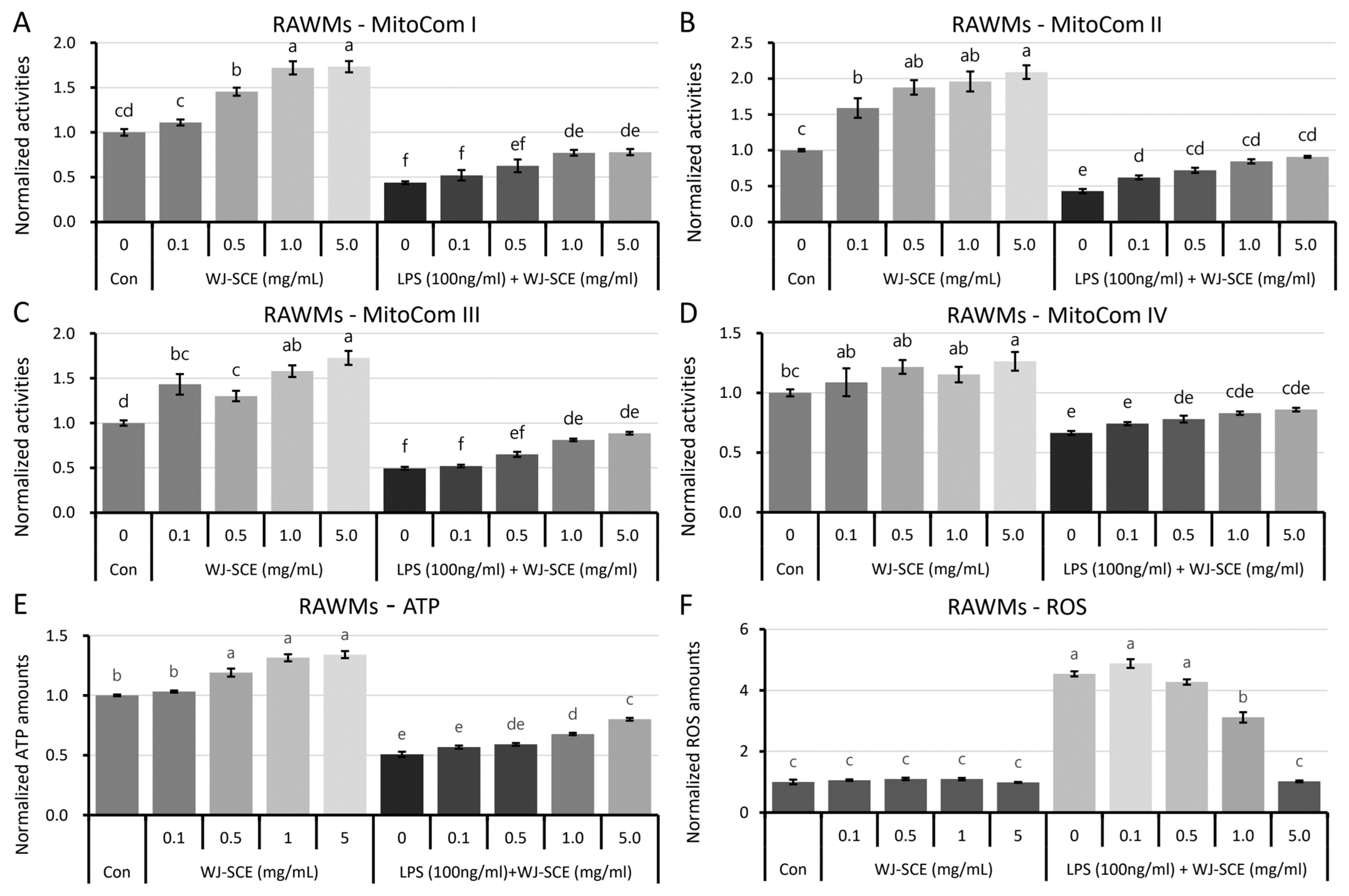 Nutrients 16 03932 g003 Nutrients 16 03932 g003