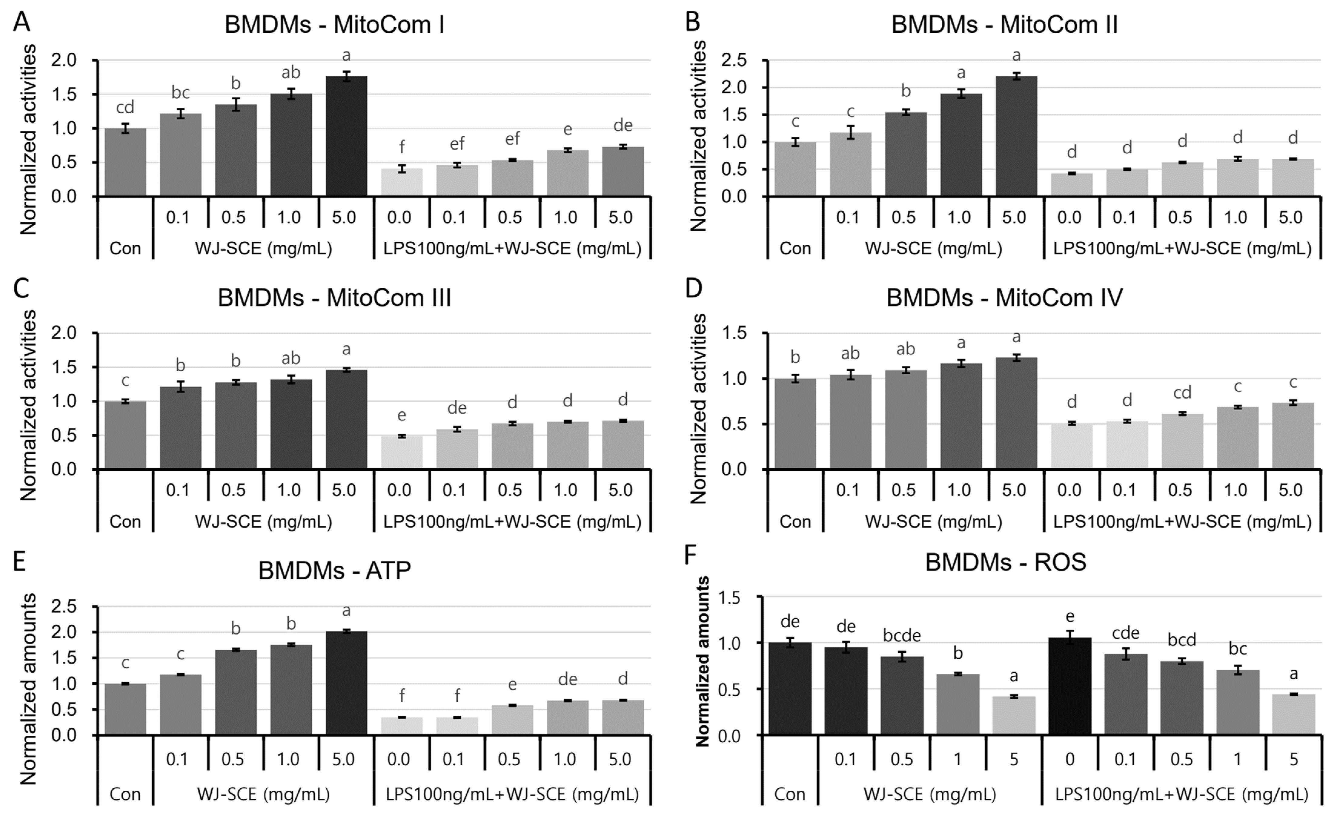 Nutrients 16 03932 g004 Nutrients 16 03932 g004