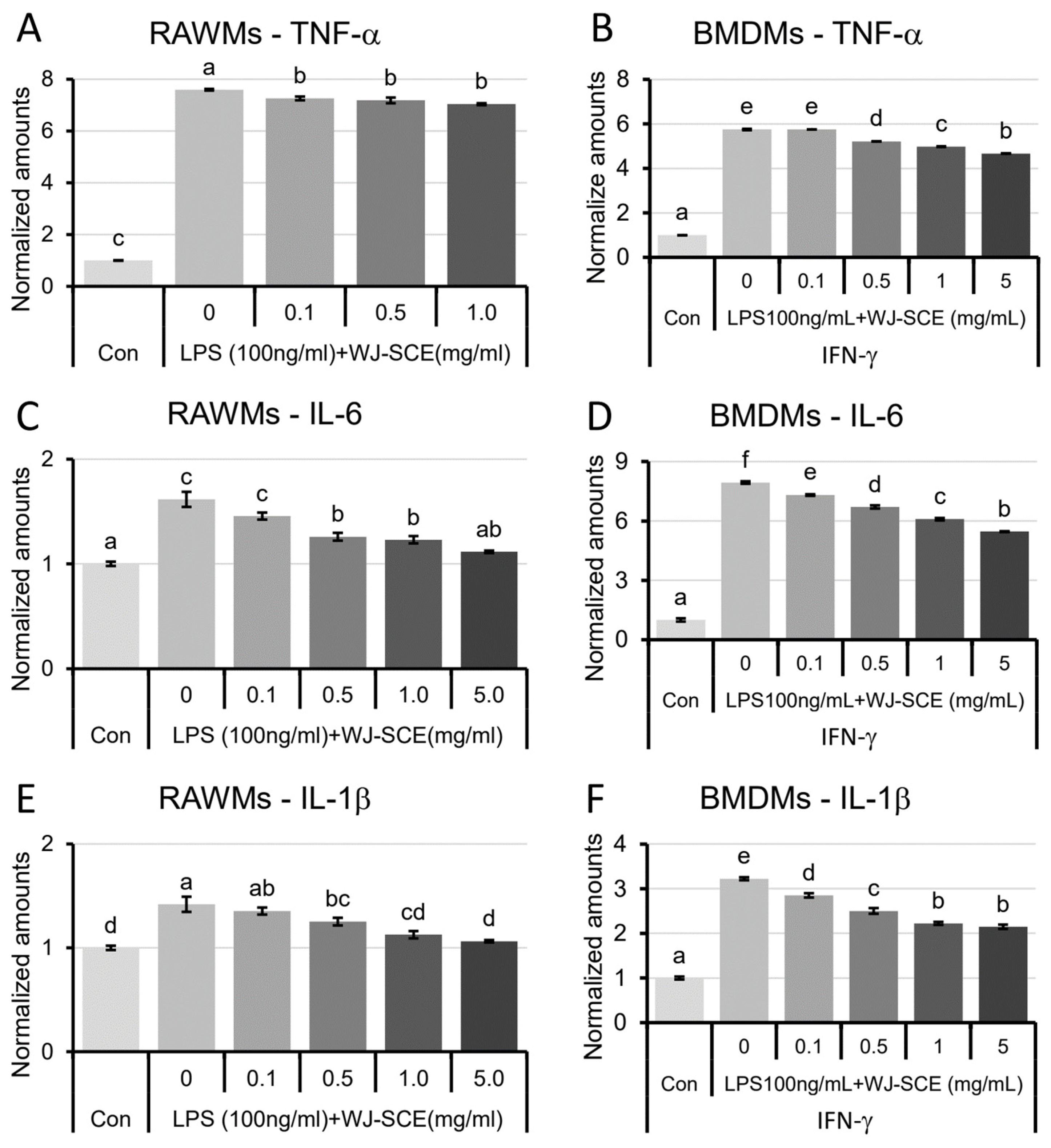 Nutrients 16 03932 g005 Nutrients 16 03932 g005