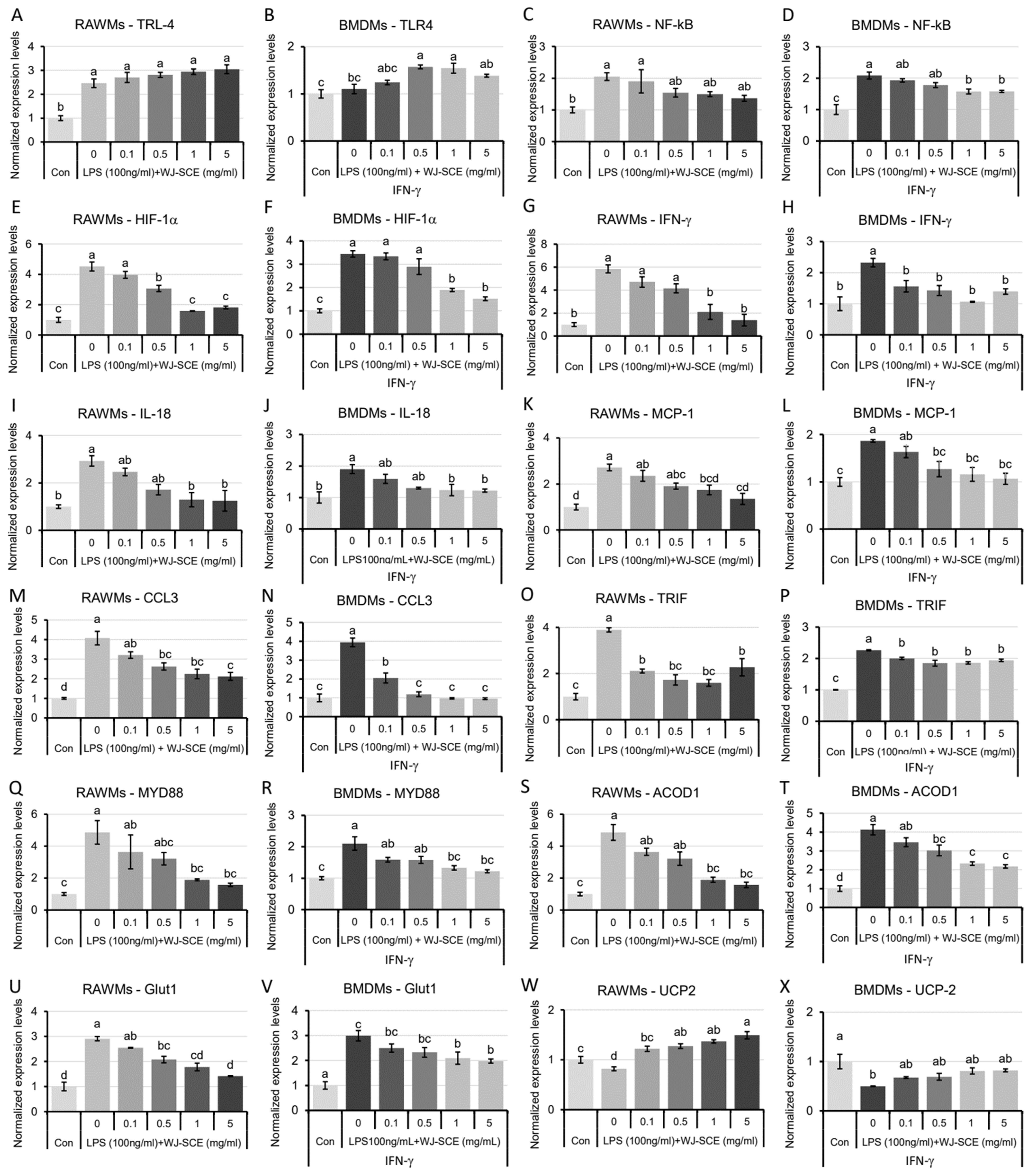Nutrients 16 03932 g007 Nutrients 16 03932 g007