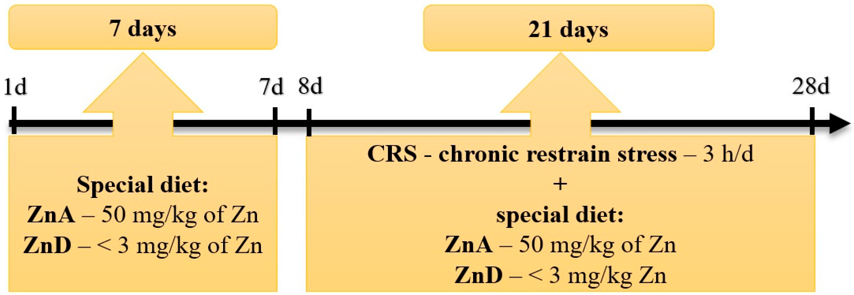 Nutrients 16 03934 g001