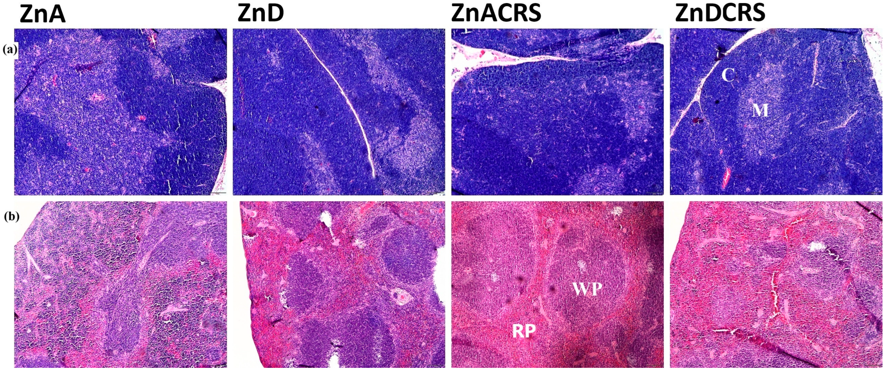 Nutrients 16 03934 g003
