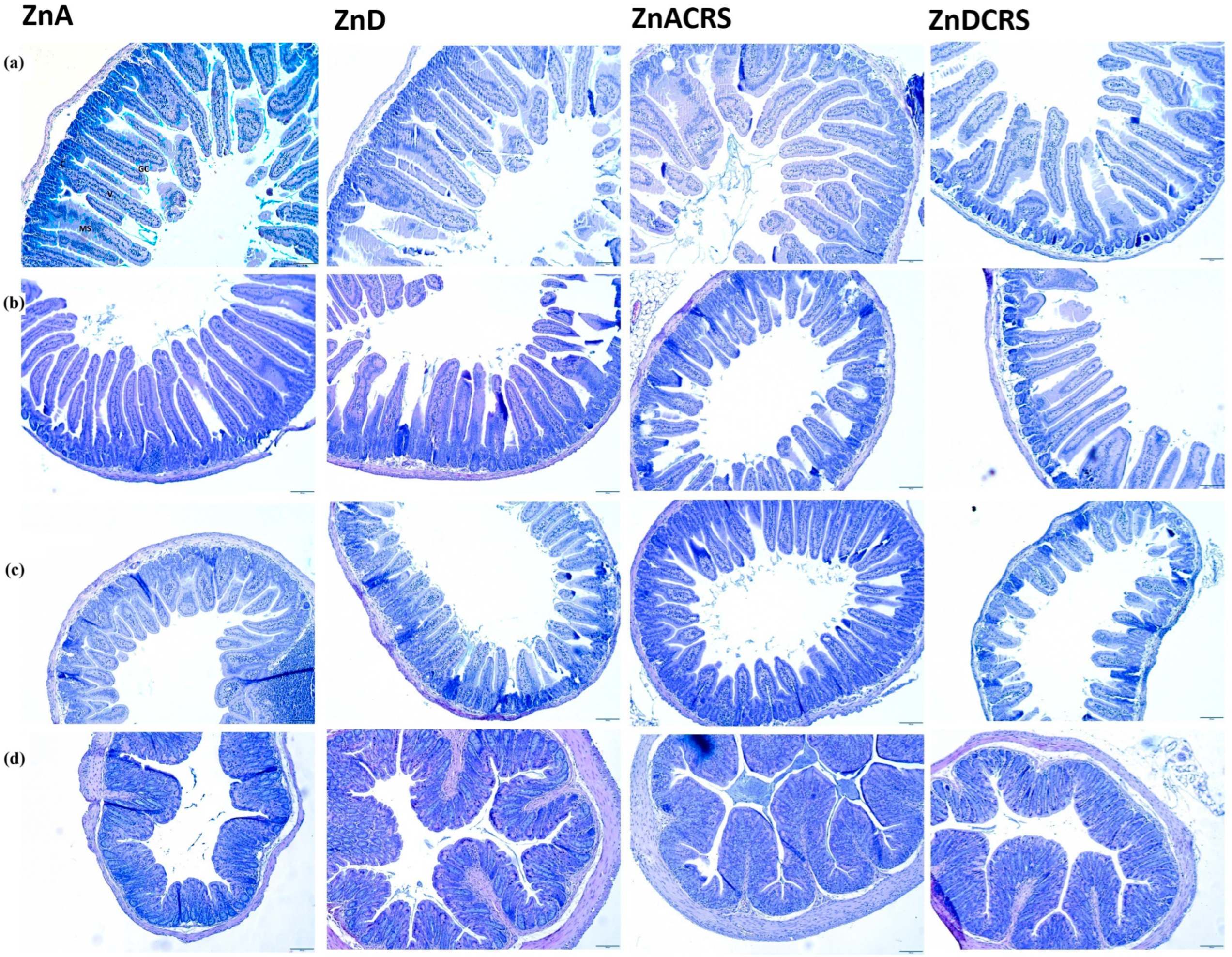Nutrients 16 03934 g005
