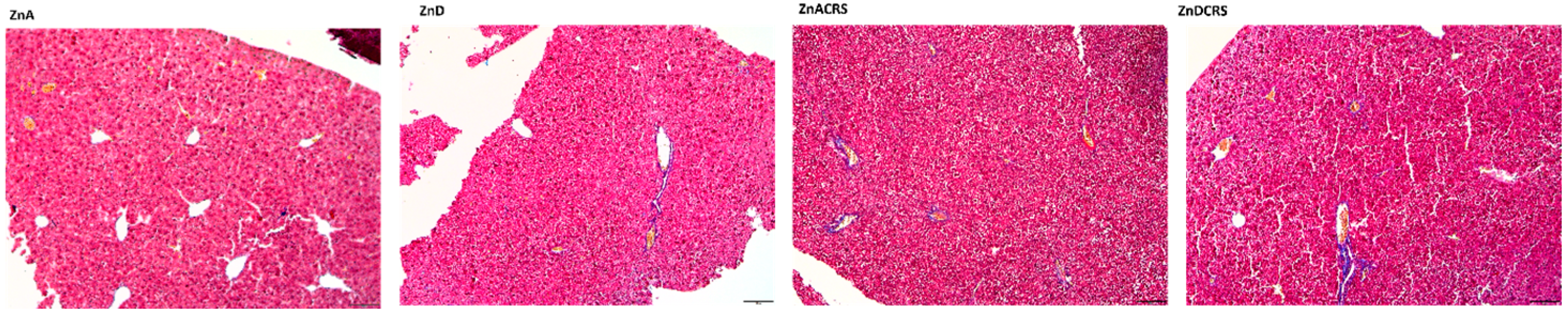 Nutrients 16 03934 g007