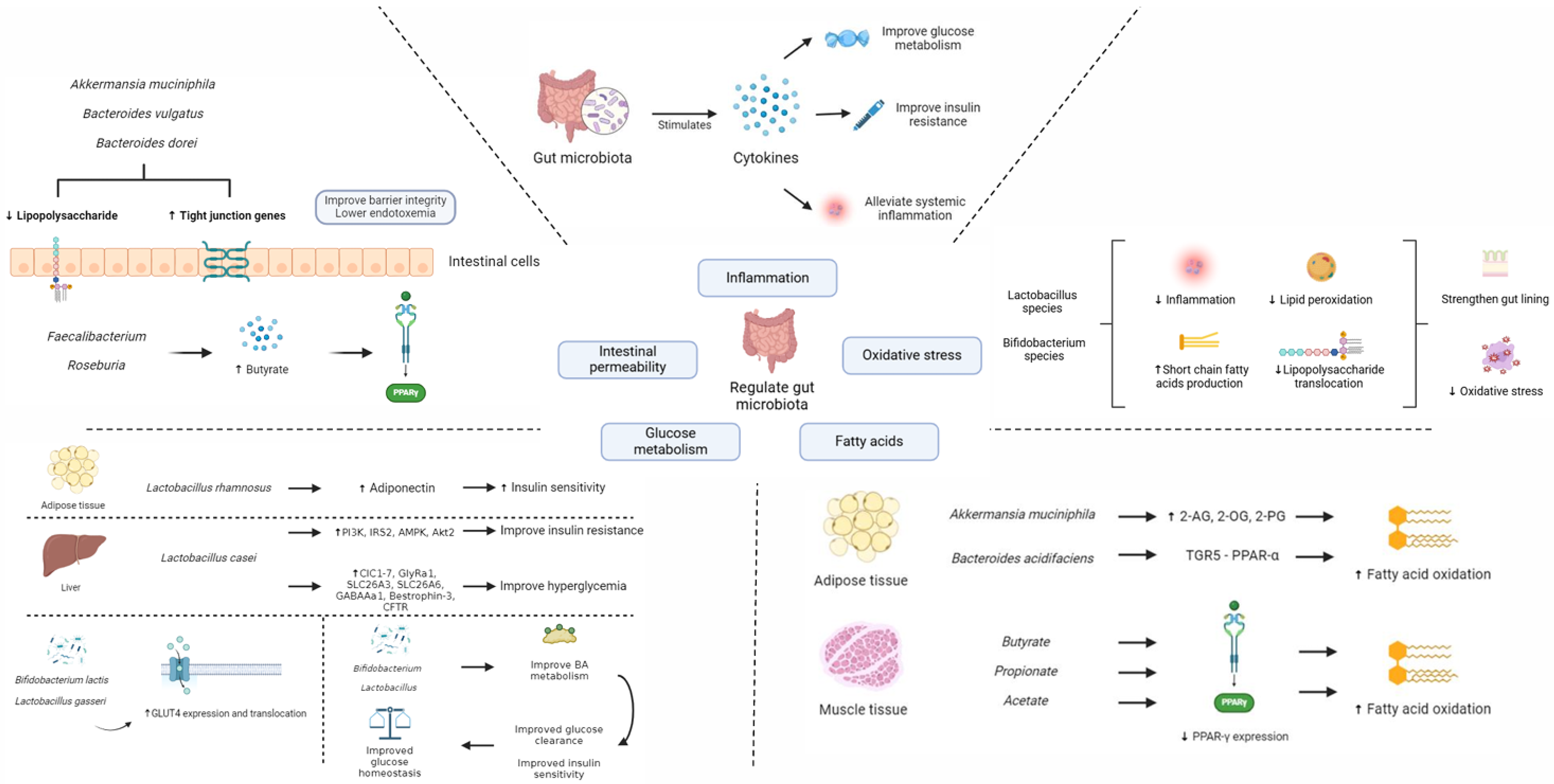 Nutrients 16 03935 g001