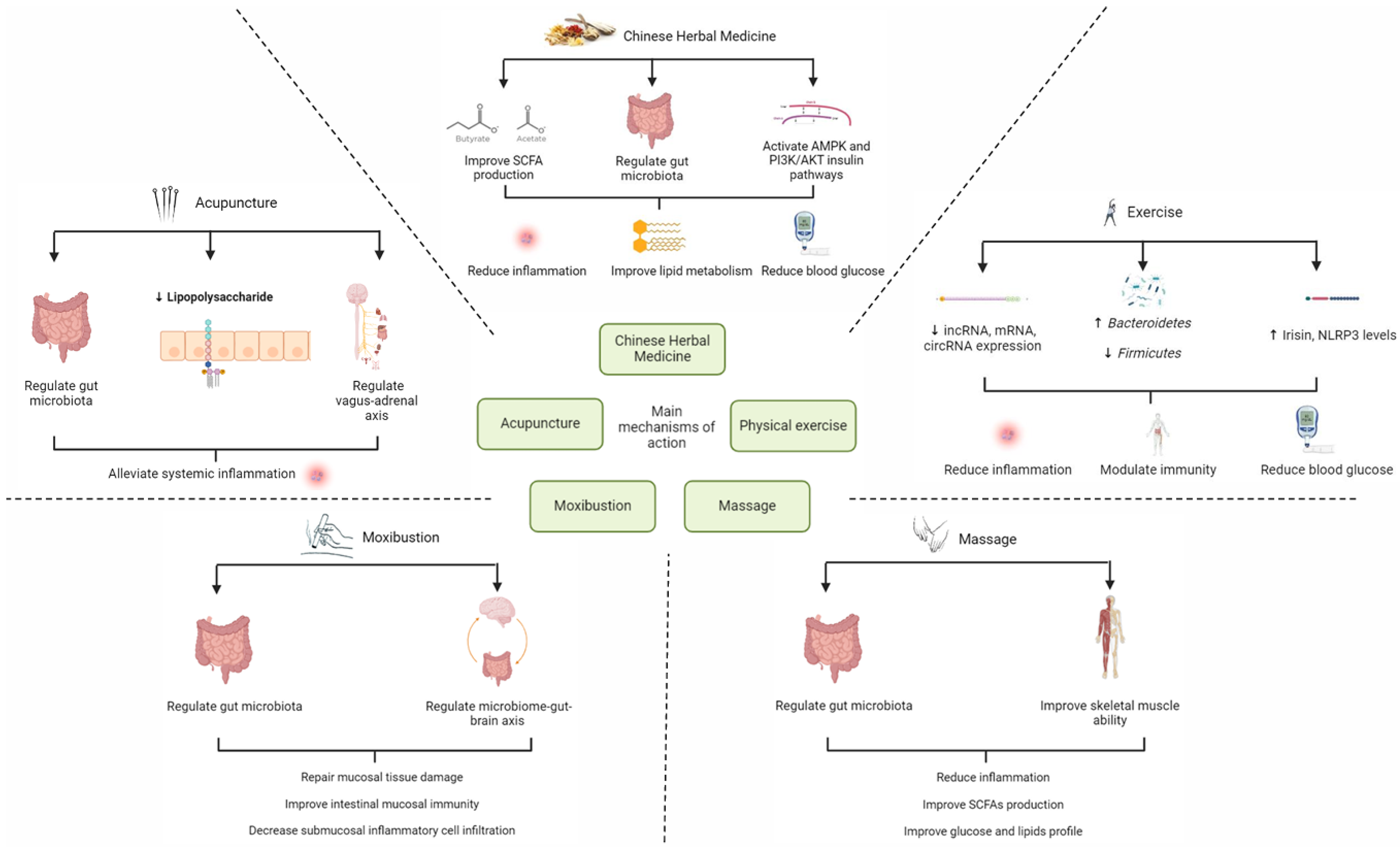 Nutrients 16 03935 g002