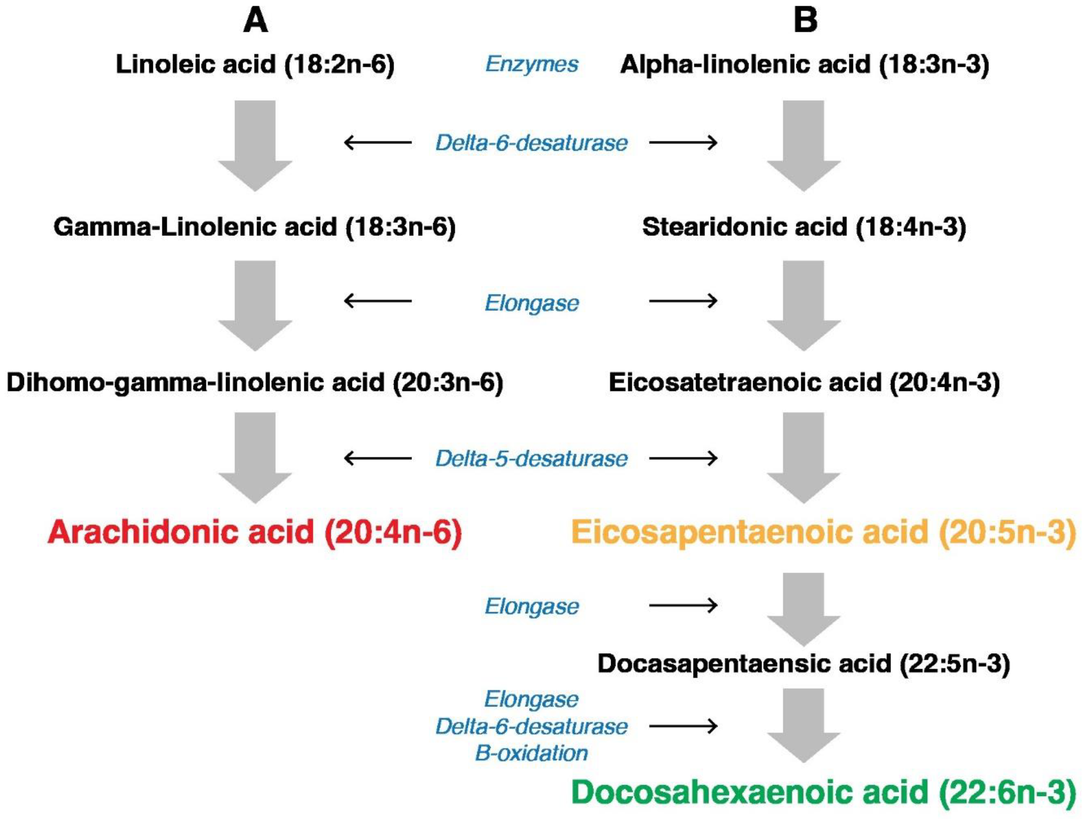Nutrients 16 03937 g001