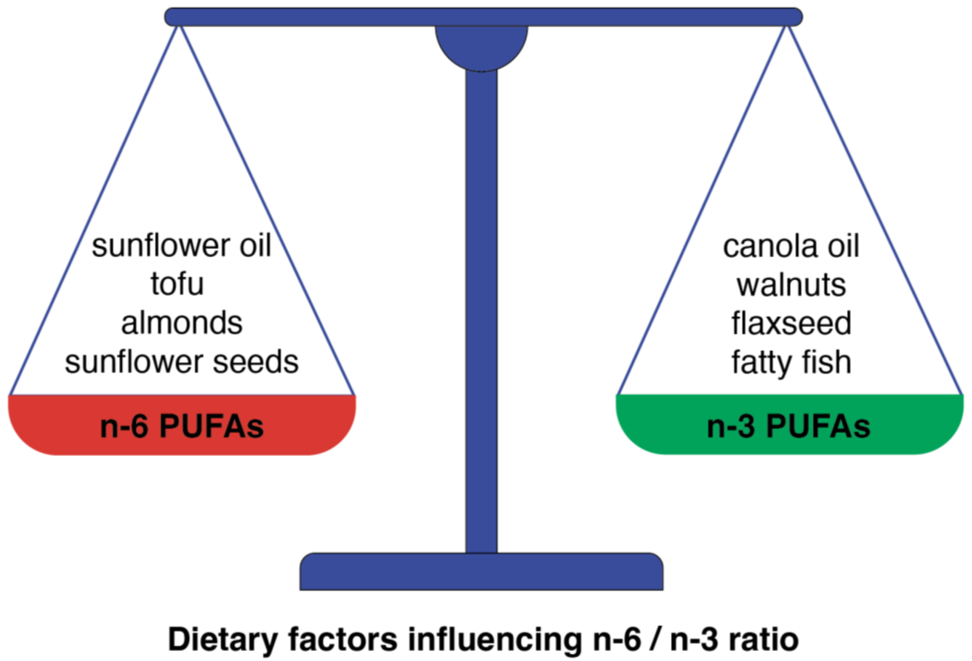 Nutrients 16 03937 g004