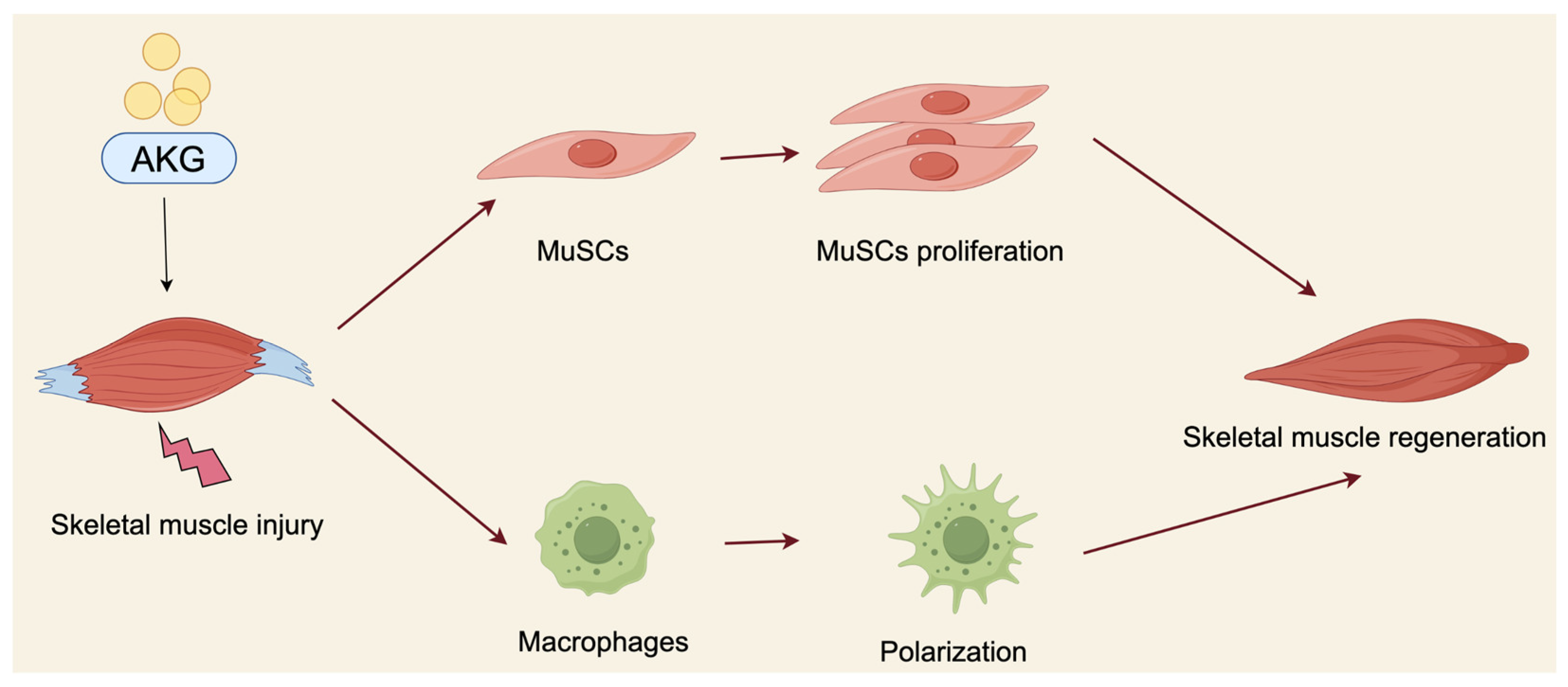 Nutrients 16 03968 g002