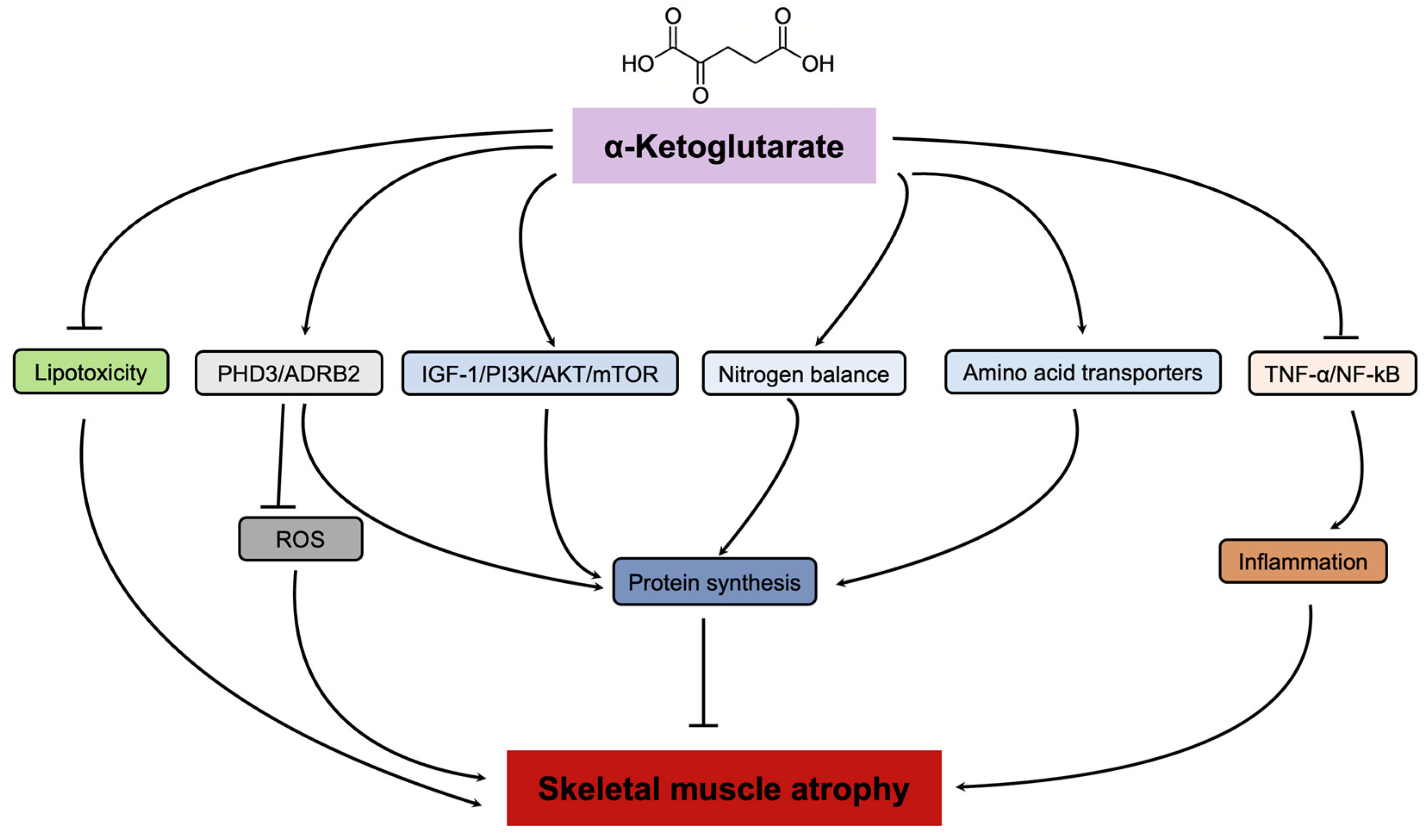 Nutrients 16 03968 g003