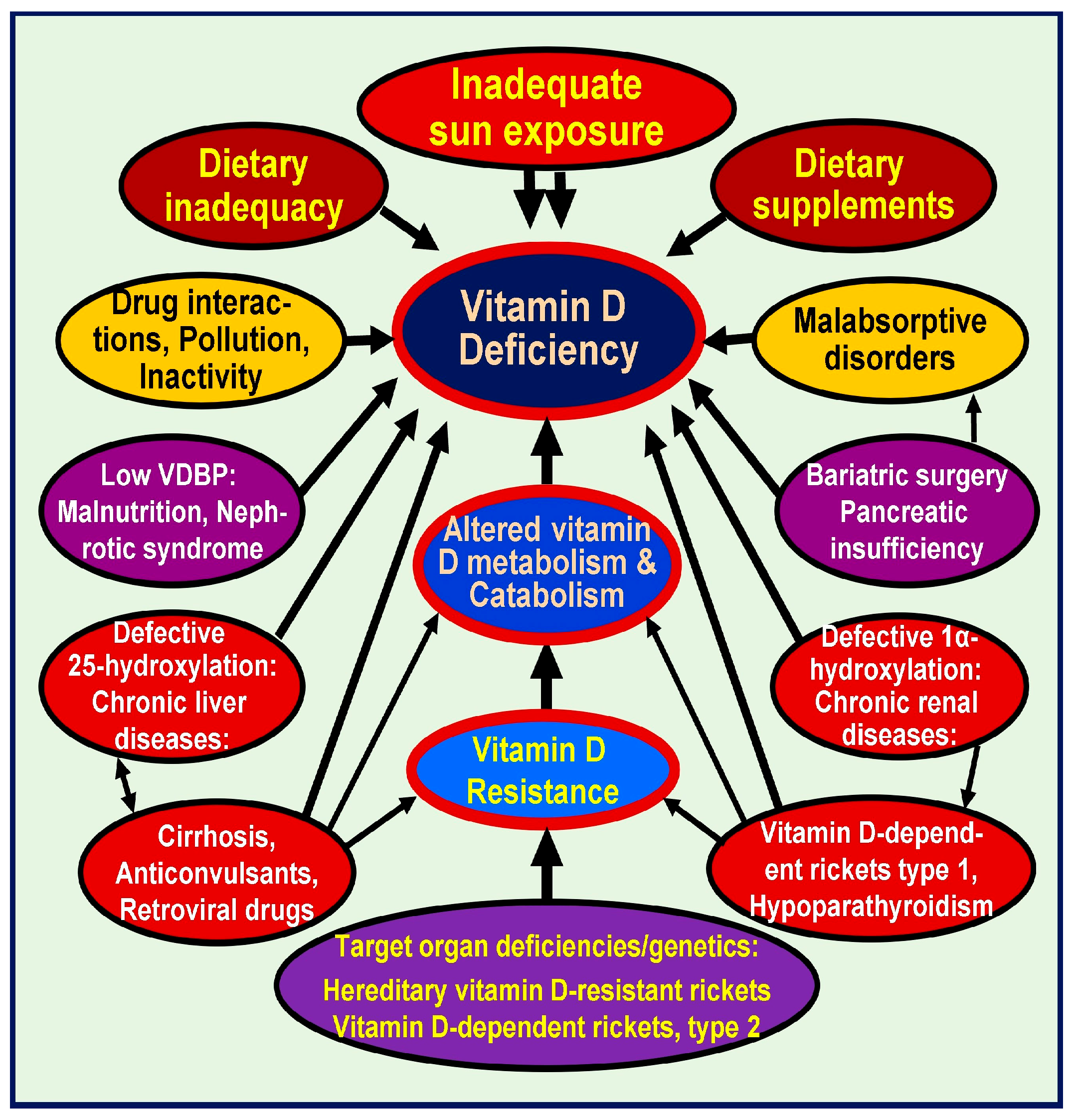 Nutrients 16 03969 g001