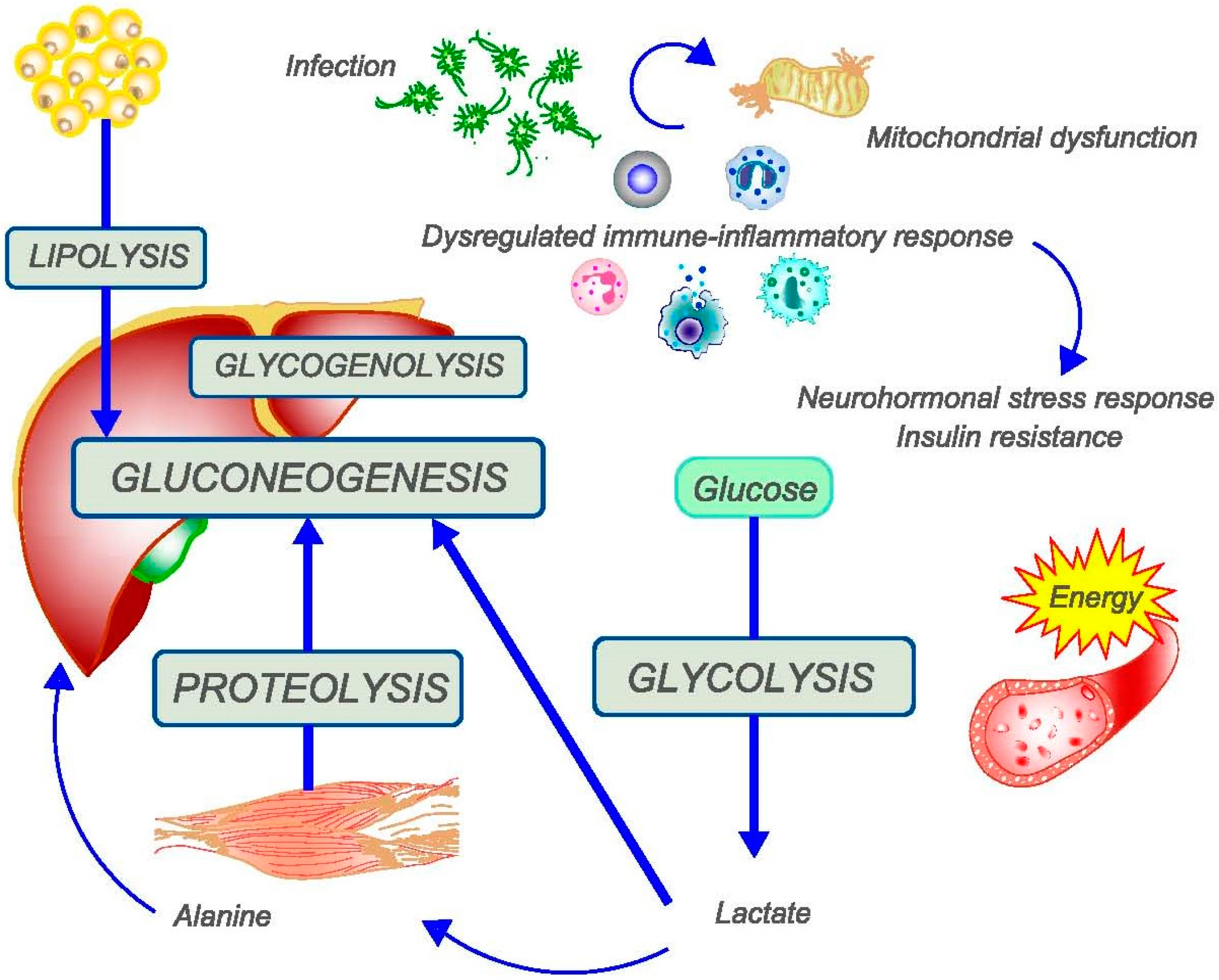 Nutrients 16 03985 g001 Nutrients 16 03985 g001