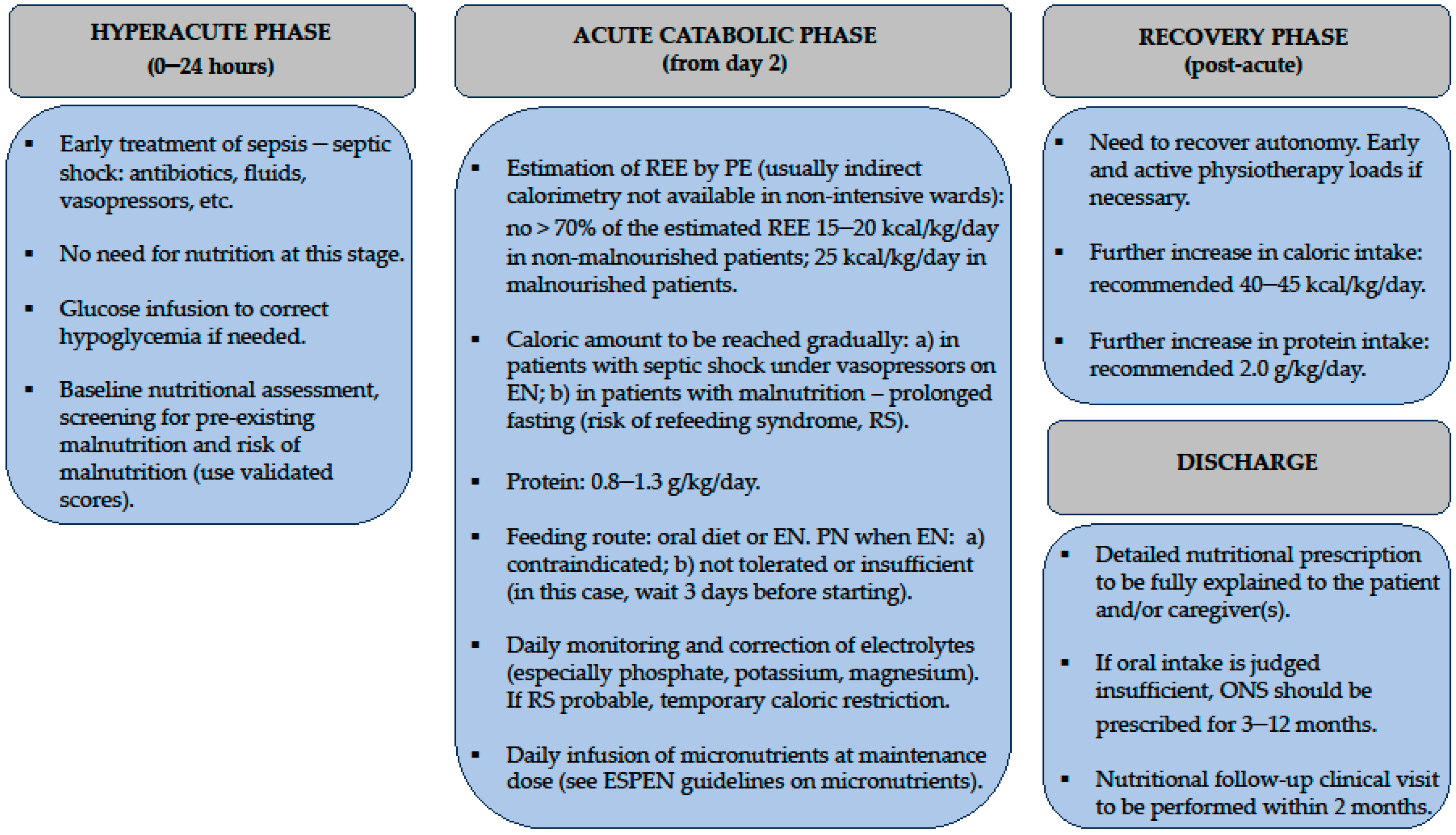 Nutrients 16 03985 g002 Nutrients 16 03985 g002