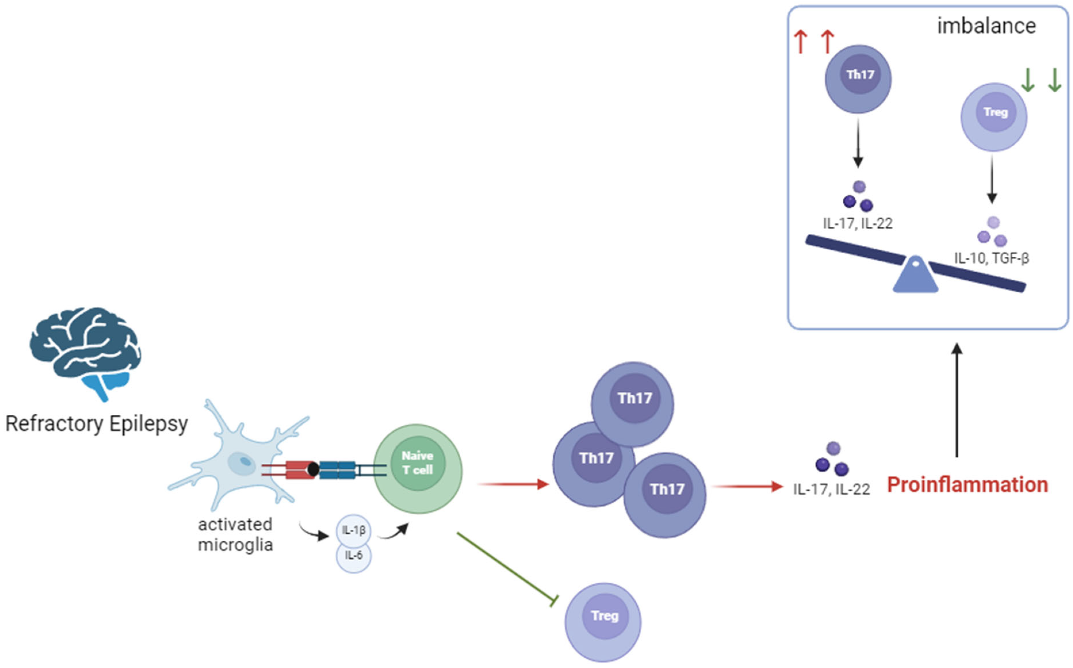 Nutrients 16 03994 g002