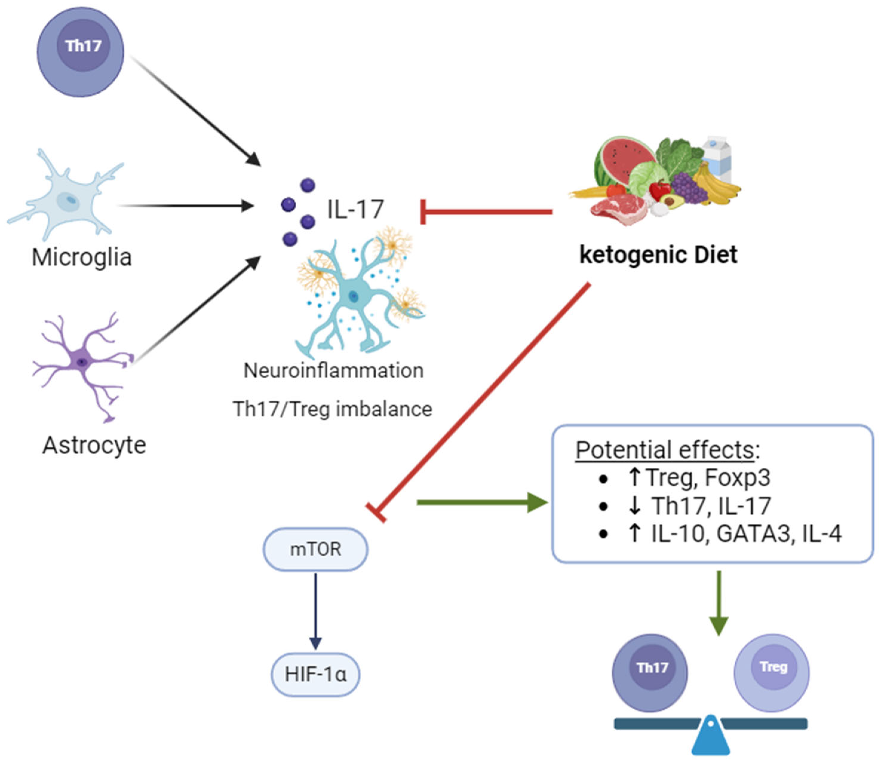 Nutrients 16 03994 g003