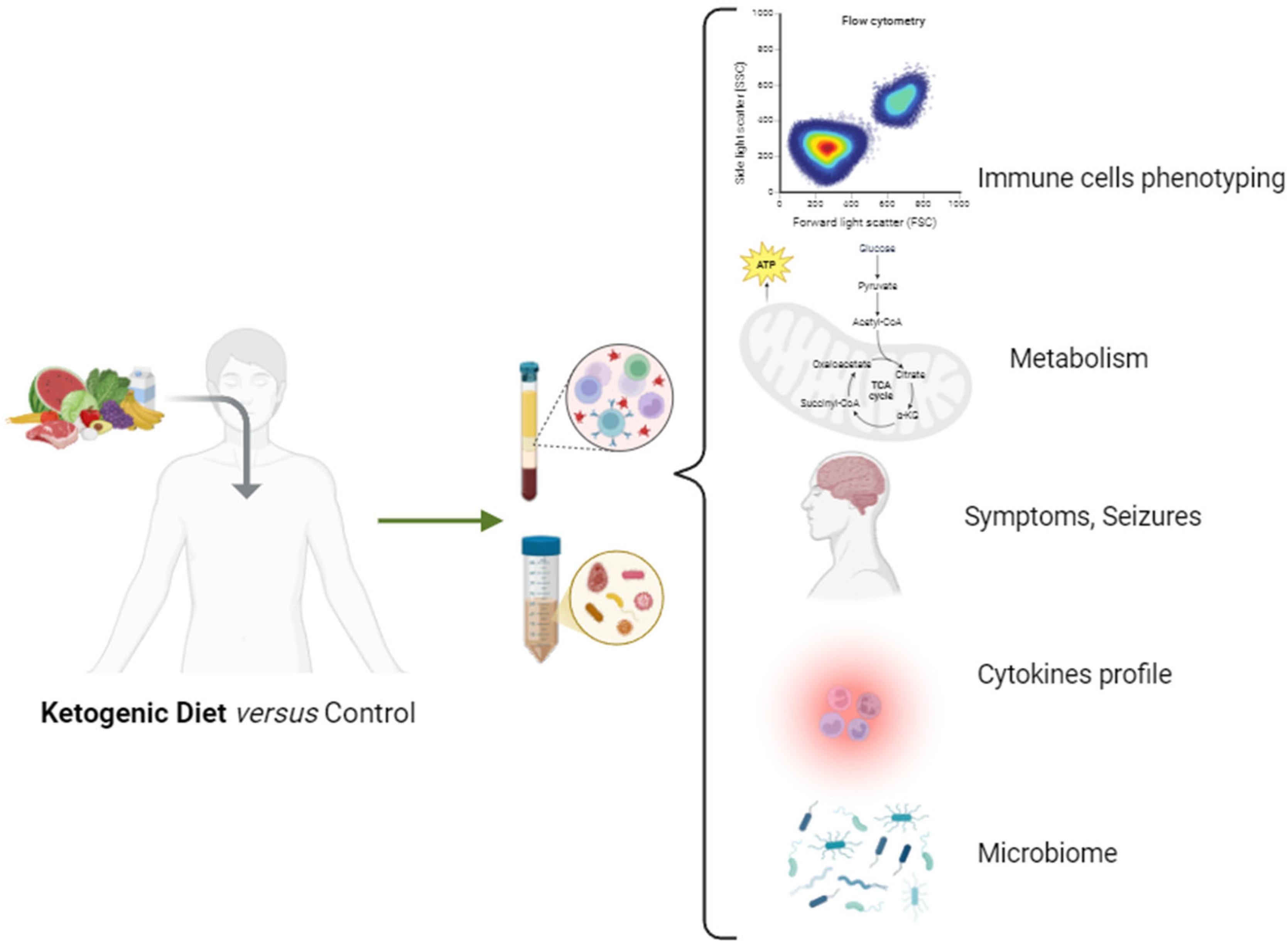 Nutrients 16 03994 g004