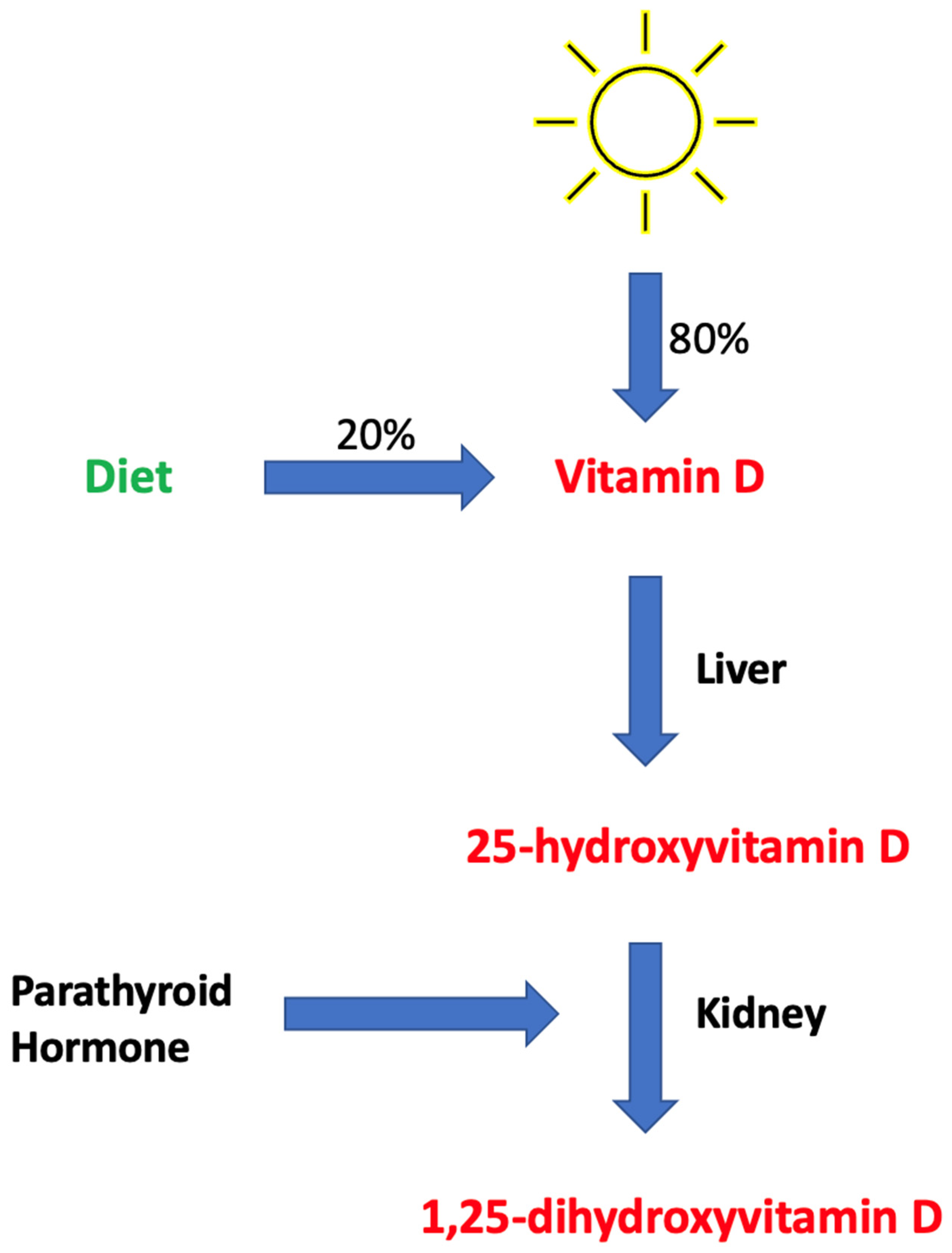 Nutrients 16 04007 g001