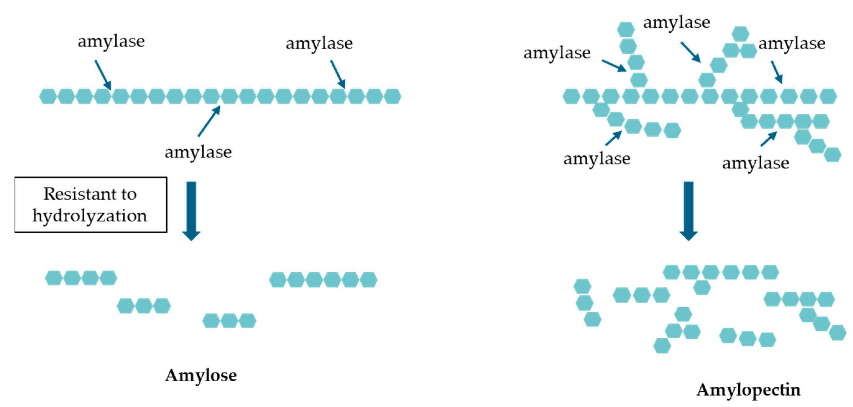 Nutrients 16 04013 g001 Nutrients 16 04013 g001
