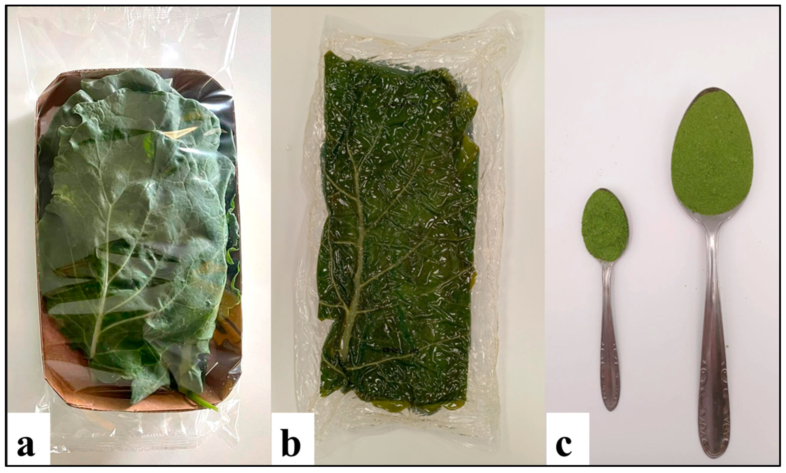Nutrients 16 04015 g001 Nutrients 16 04015 g001