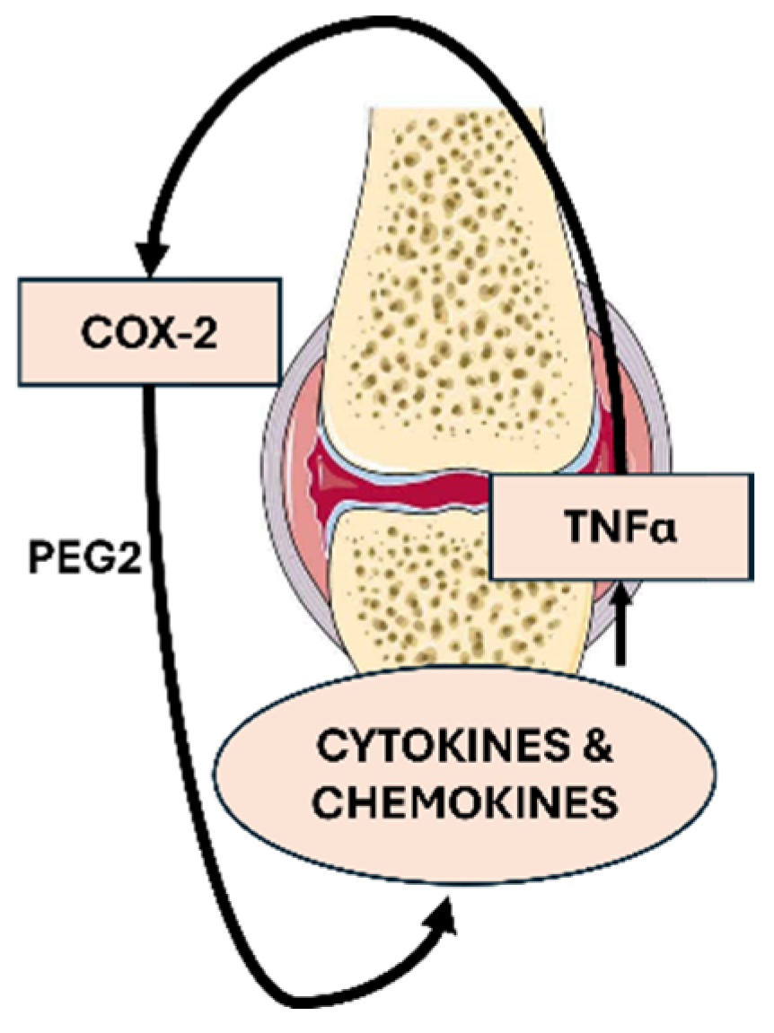 Nutrients 16 04020 g001
