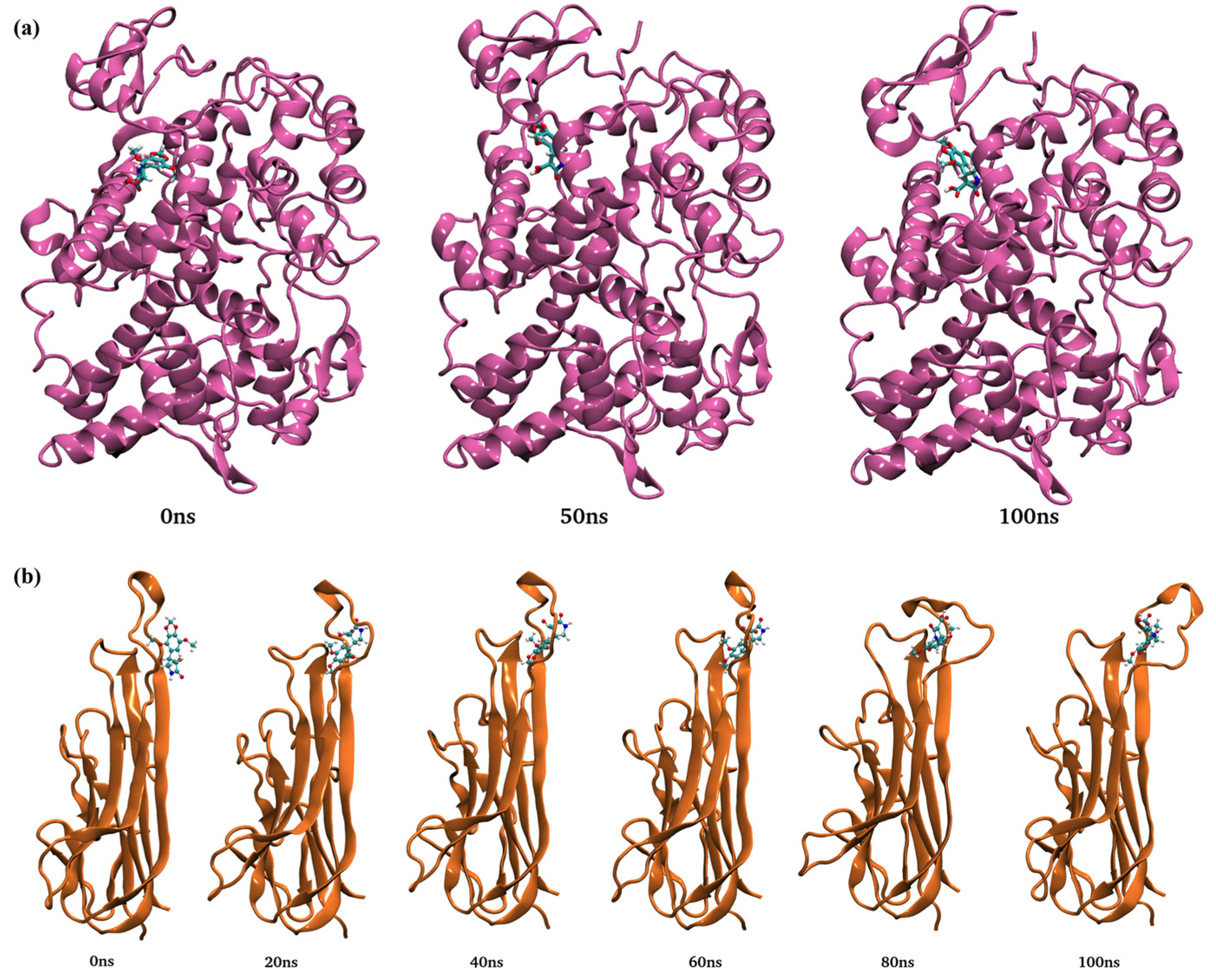 Nutrients 16 04020 g011