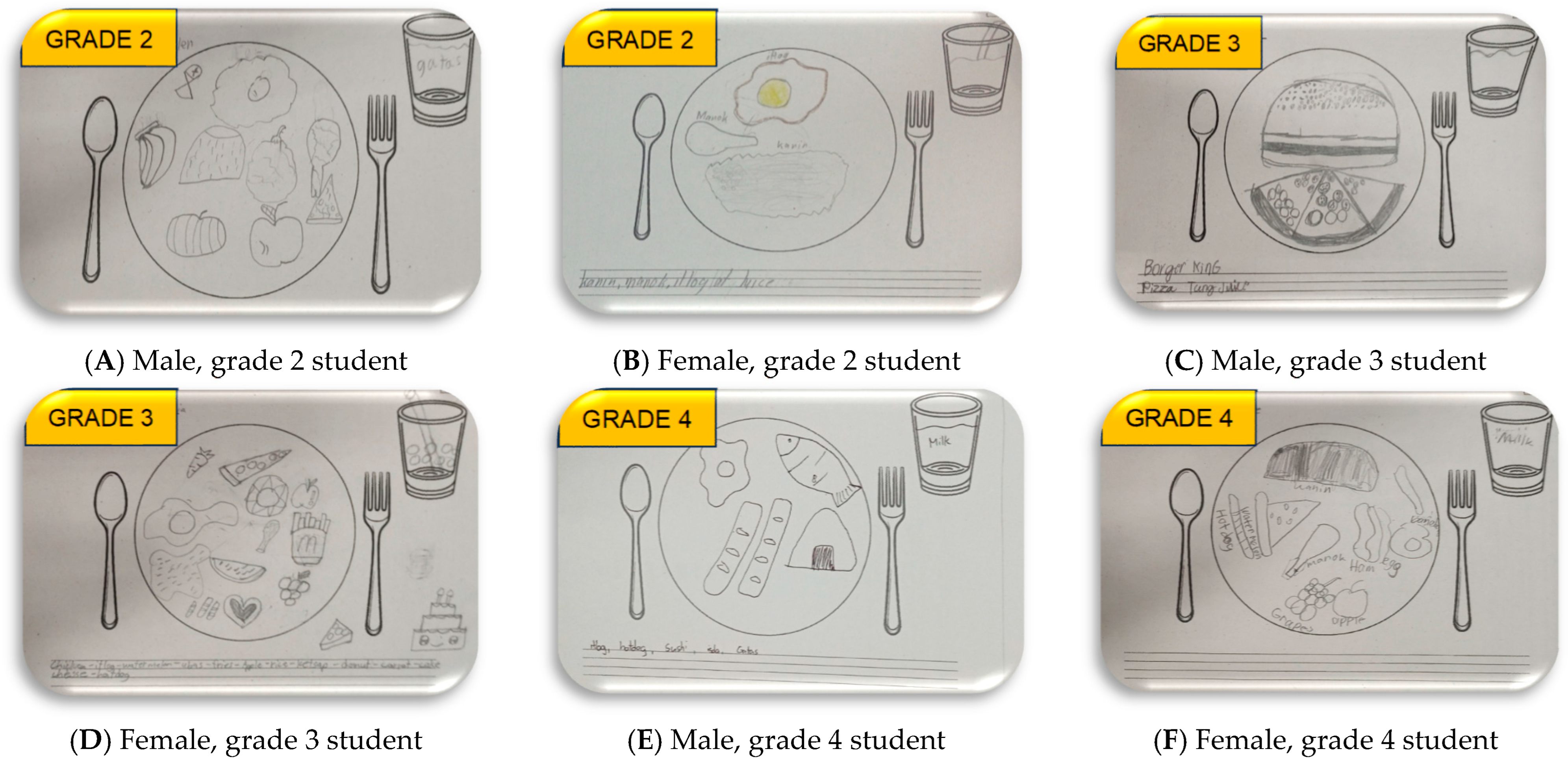 Nutrients 16 04035 g002