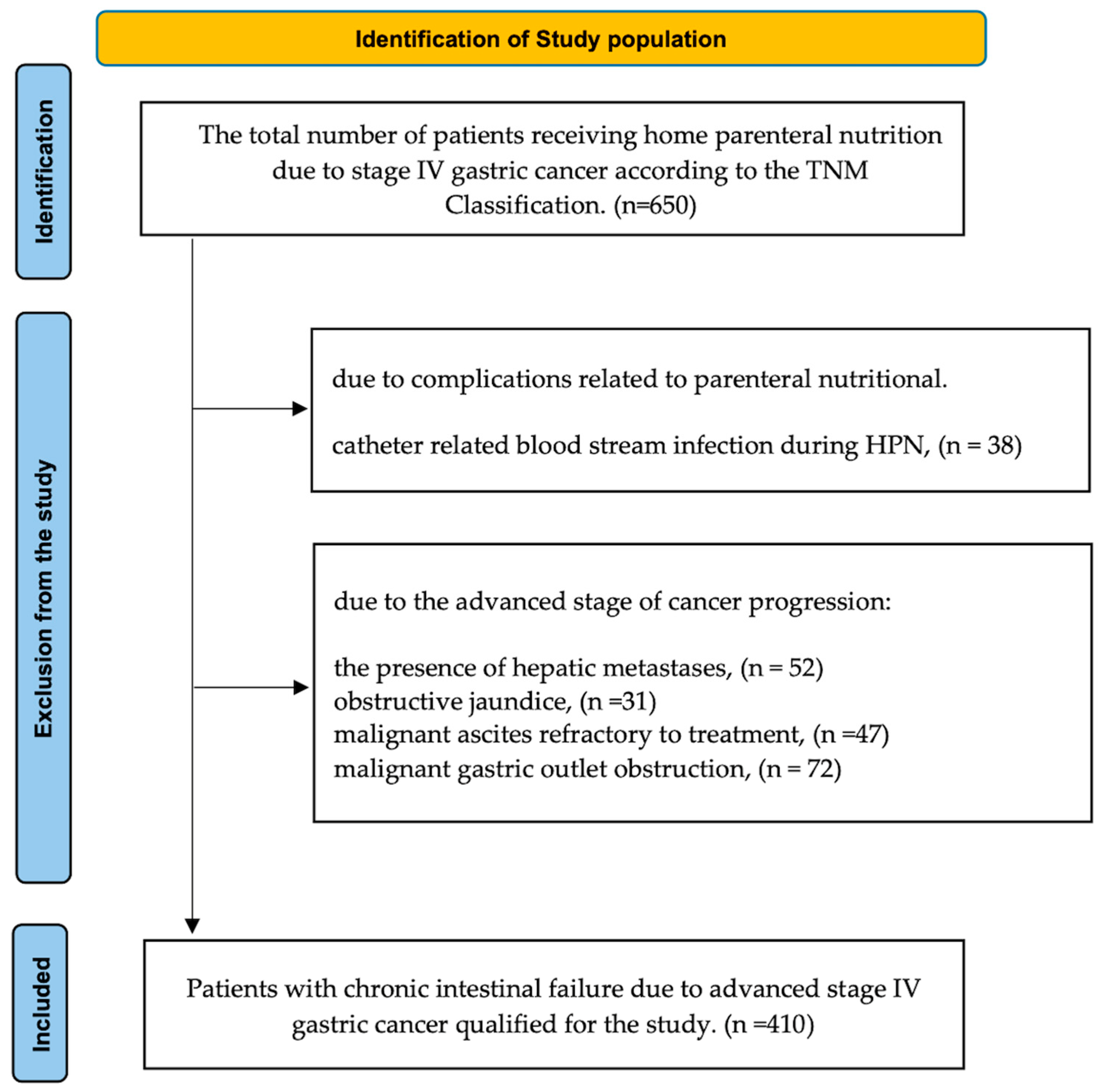 Nutrients 16 04052 g001
