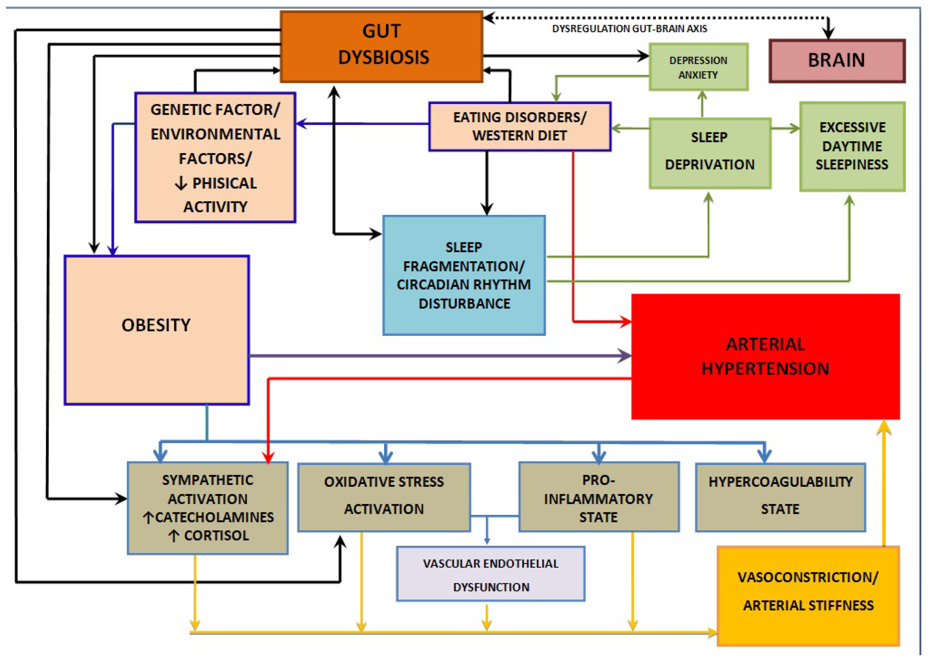 Nutrients 16 04057 g001