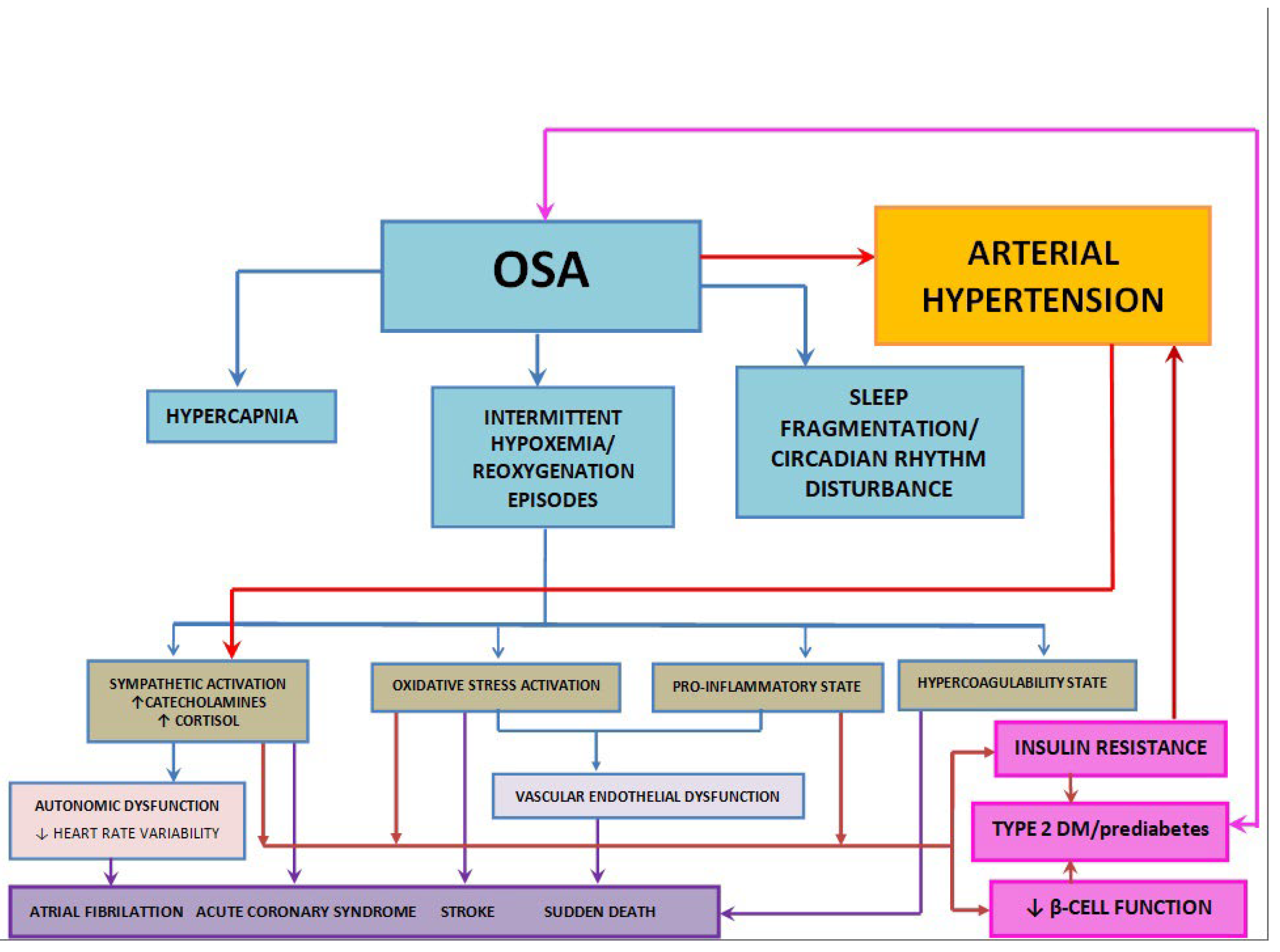 Nutrients 16 04057 g002