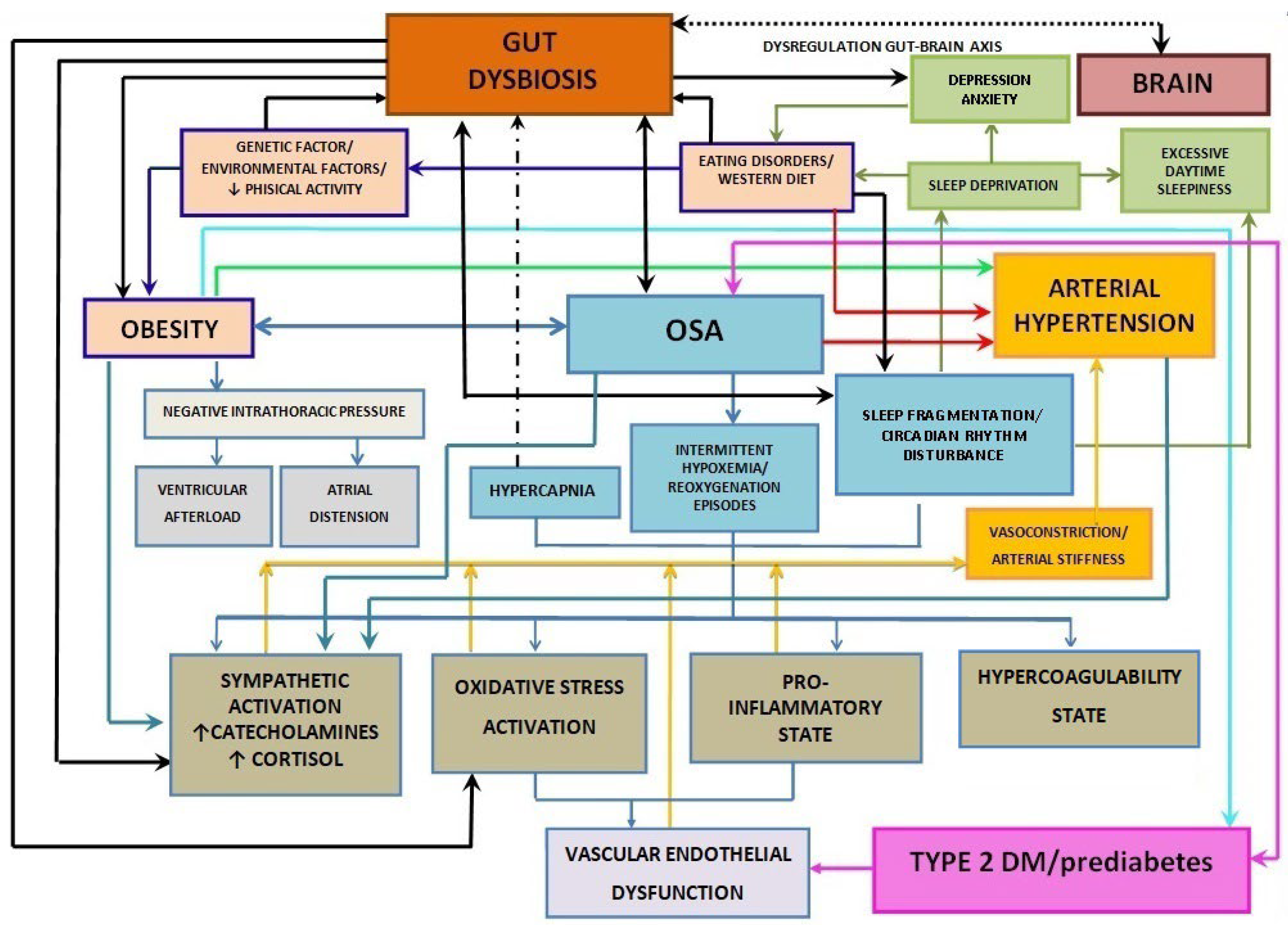 Nutrients 16 04057 g003