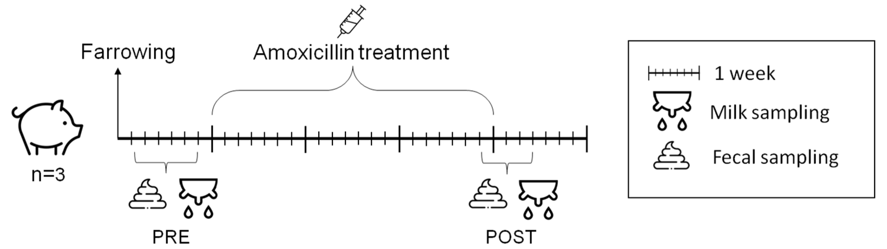 Nutrients 16 04060 g001